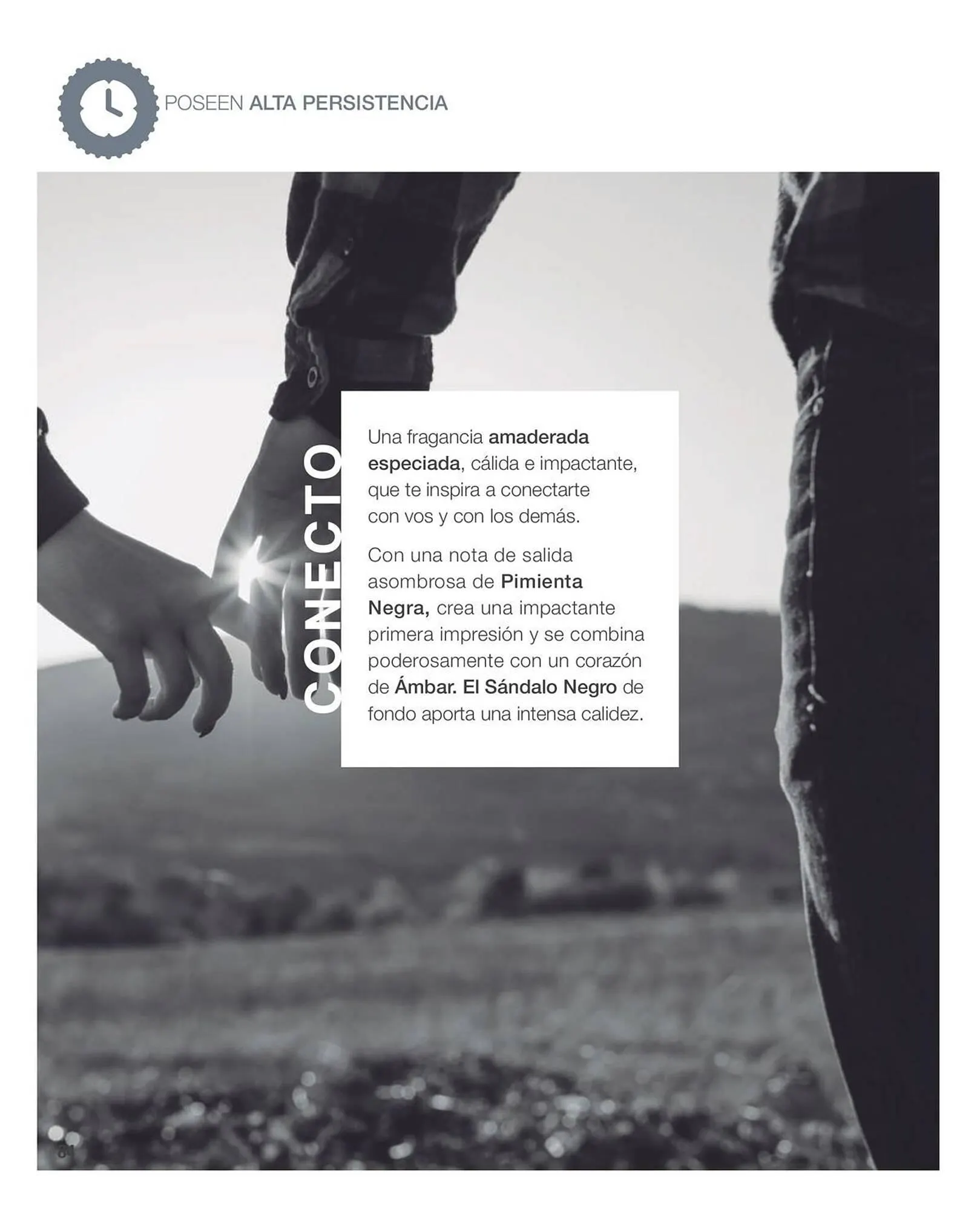 Ofertas de Catálogo Biogreen 20 de octubre al 30 de noviembre 2023 - Página 84 del catálogo