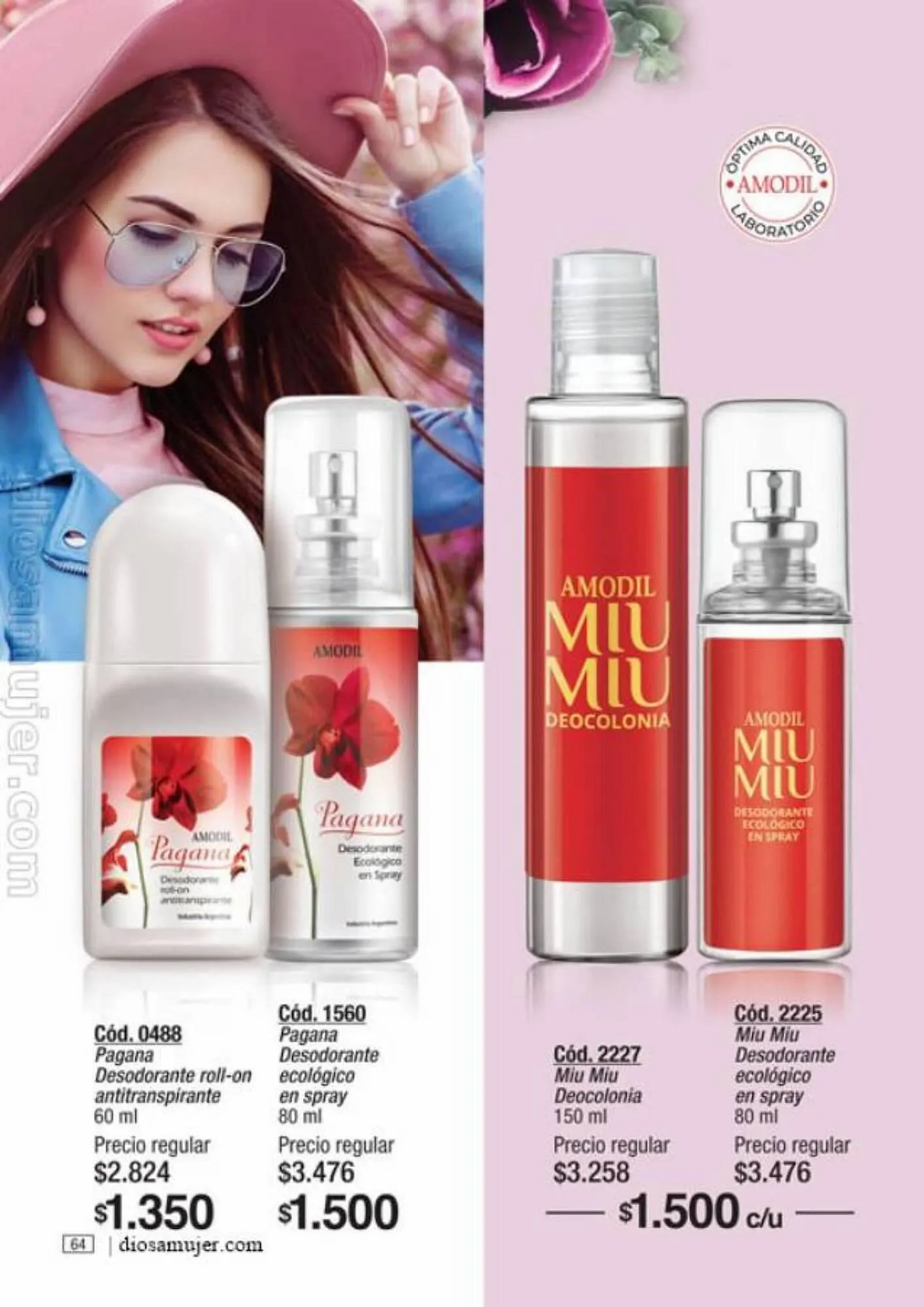 Ofertas de Catálogo Amodil 6 de septiembre al 10 de octubre 2023 - Página 64 del catálogo