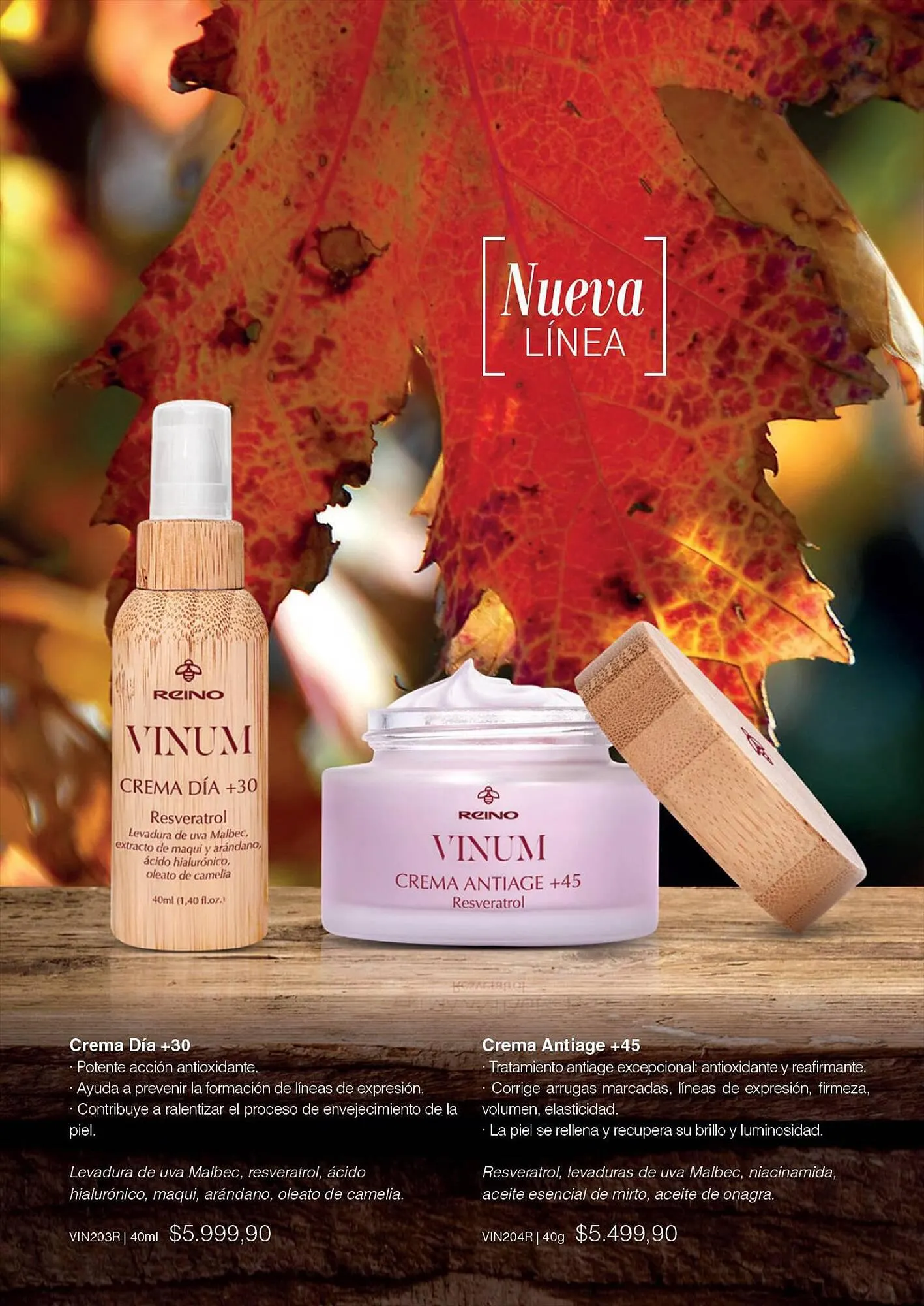 Ofertas de Catálogo Reino Cosmética 28 de julio al 31 de julio 2023 - Página 38 del catálogo