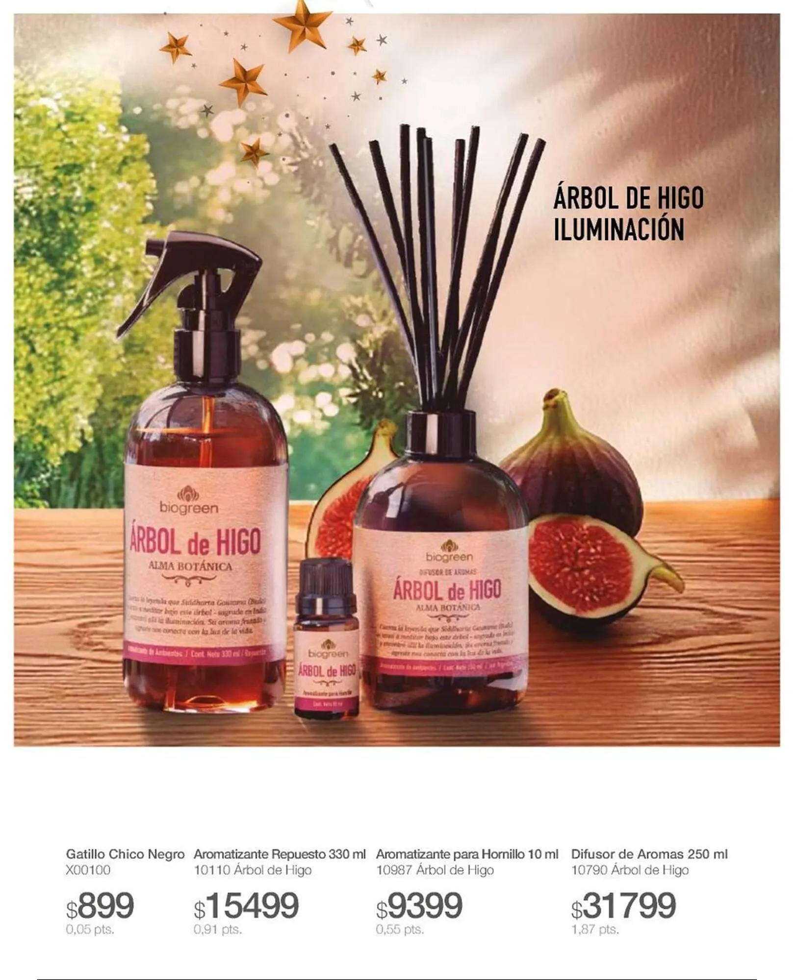 Ofertas de Catálogo Biogreen 30 de enero al 30 de abril 2026 - Página 31 del catálogo