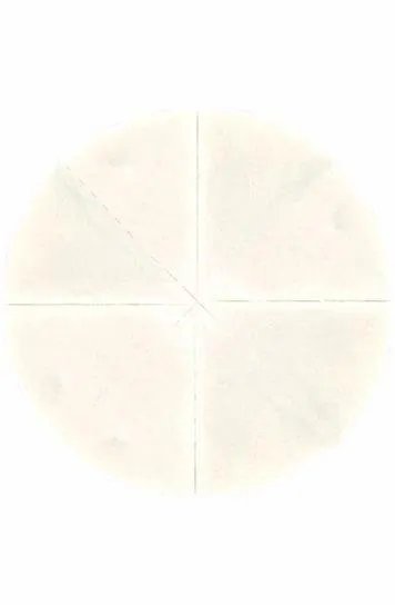 Cisne Dividido Económico 1un.