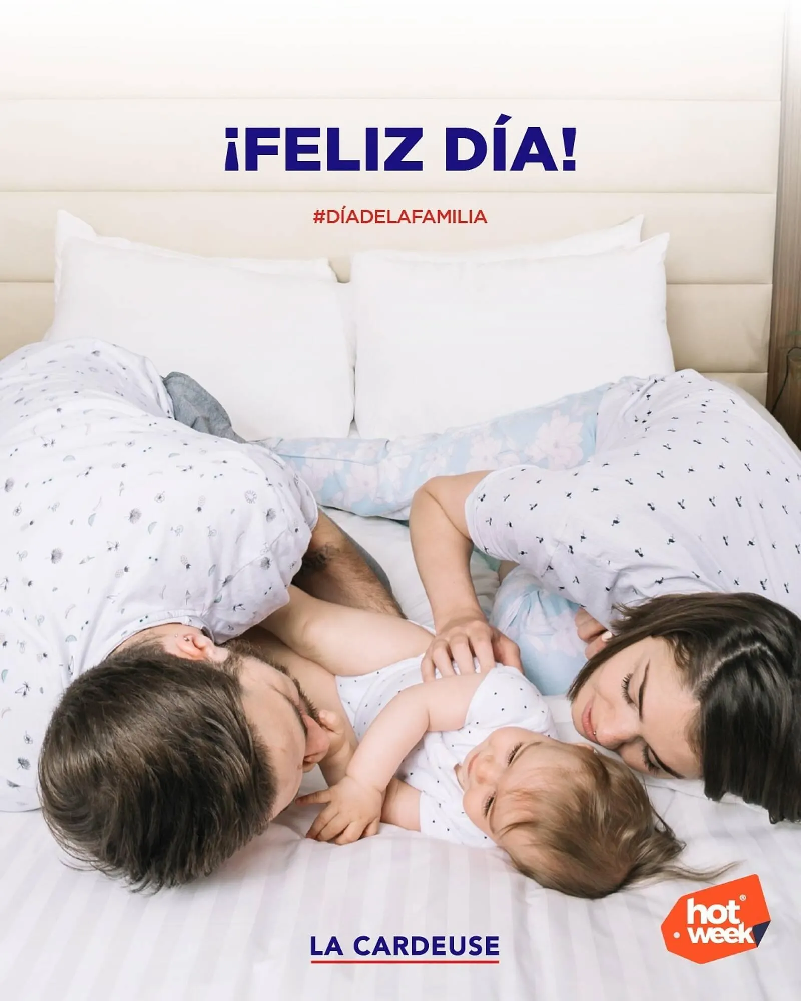 Ofertas de Catálogo La Cardeuse 15 de mayo al 31 de mayo 2025 - Página 3 del catálogo