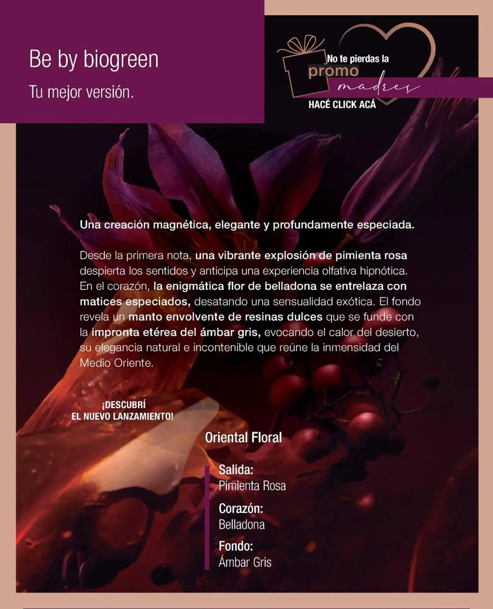 Ofertas de Catálogo Biogreen 4 de noviembre al 30 de noviembre 2025 - Página 66 del catálogo