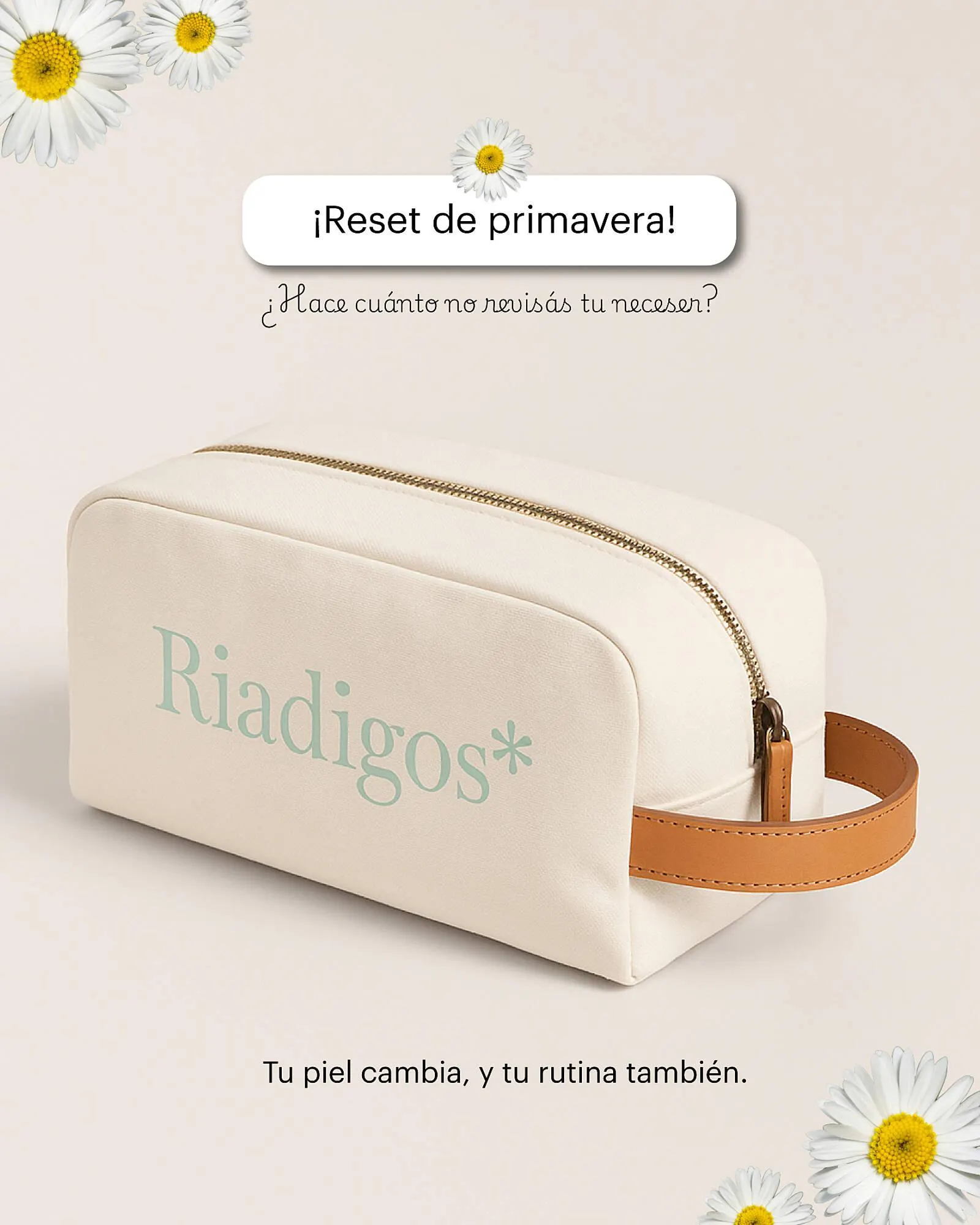 Catálogo Riadigos - 1