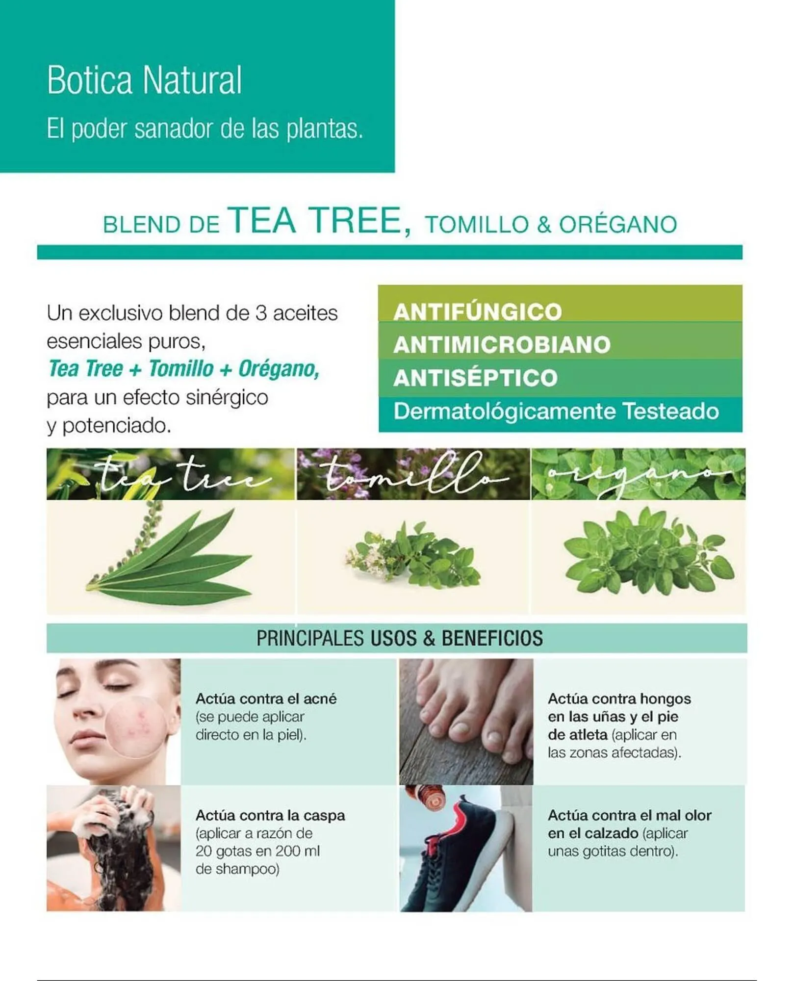 Ofertas de Catálogo Biogreen 15 de mayo al 31 de mayo 2025 - Página 68 del catálogo