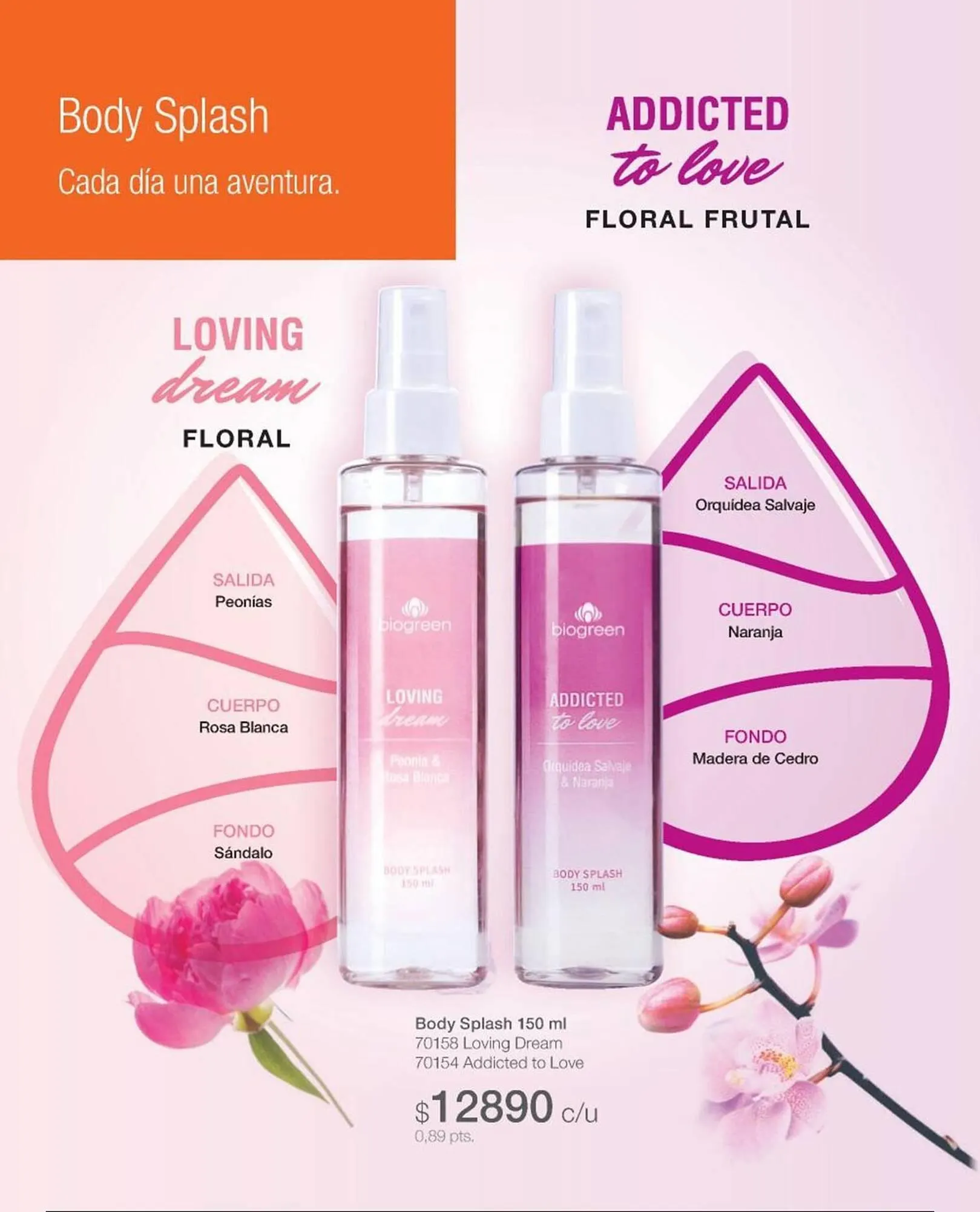 Ofertas de Catálogo Biogreen 15 de mayo al 31 de mayo 2025 - Página 64 del catálogo