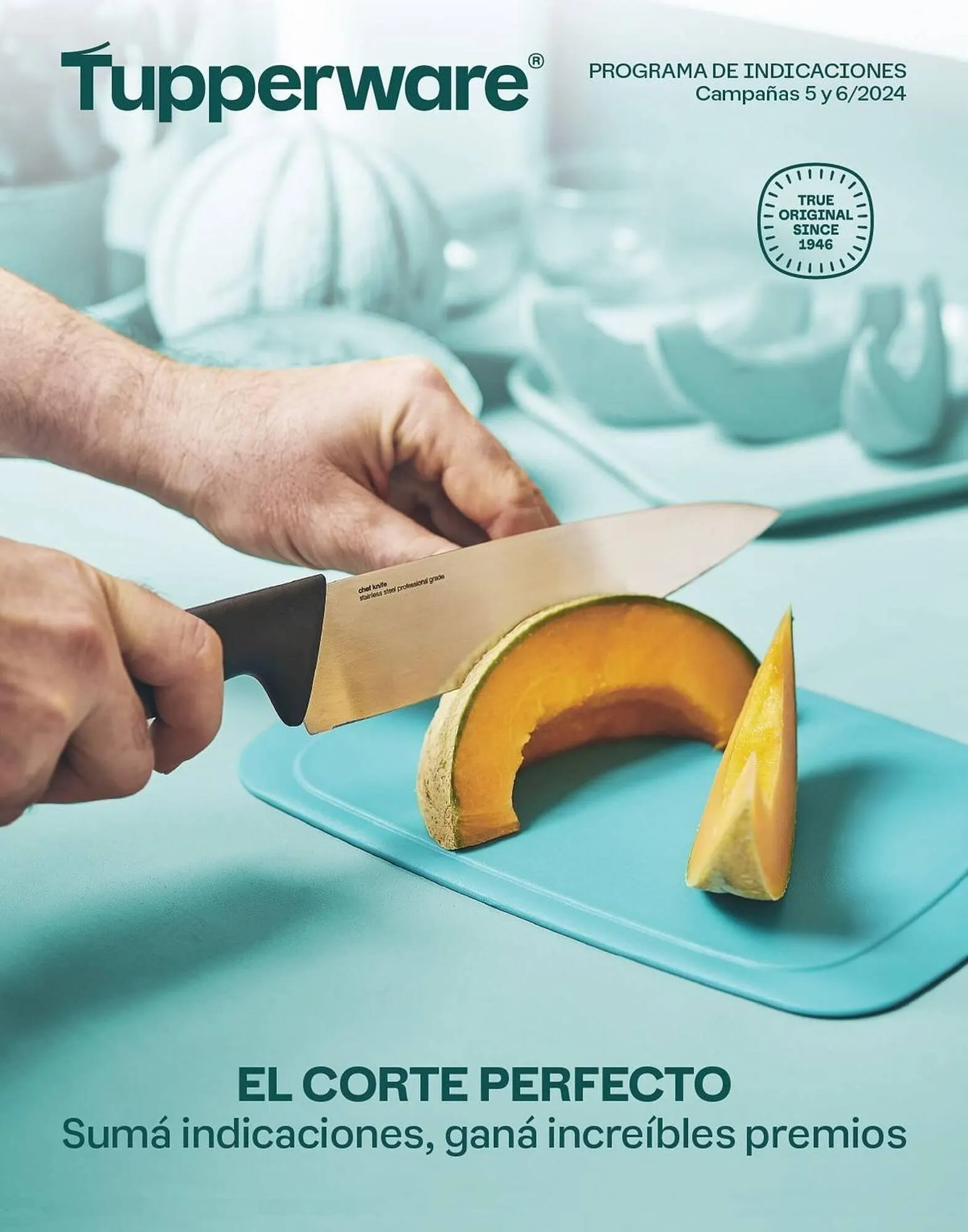 Ofertas de Catálogo Tupperware 12 de febrero al 1 de agosto 2024 - Página 1 del catálogo