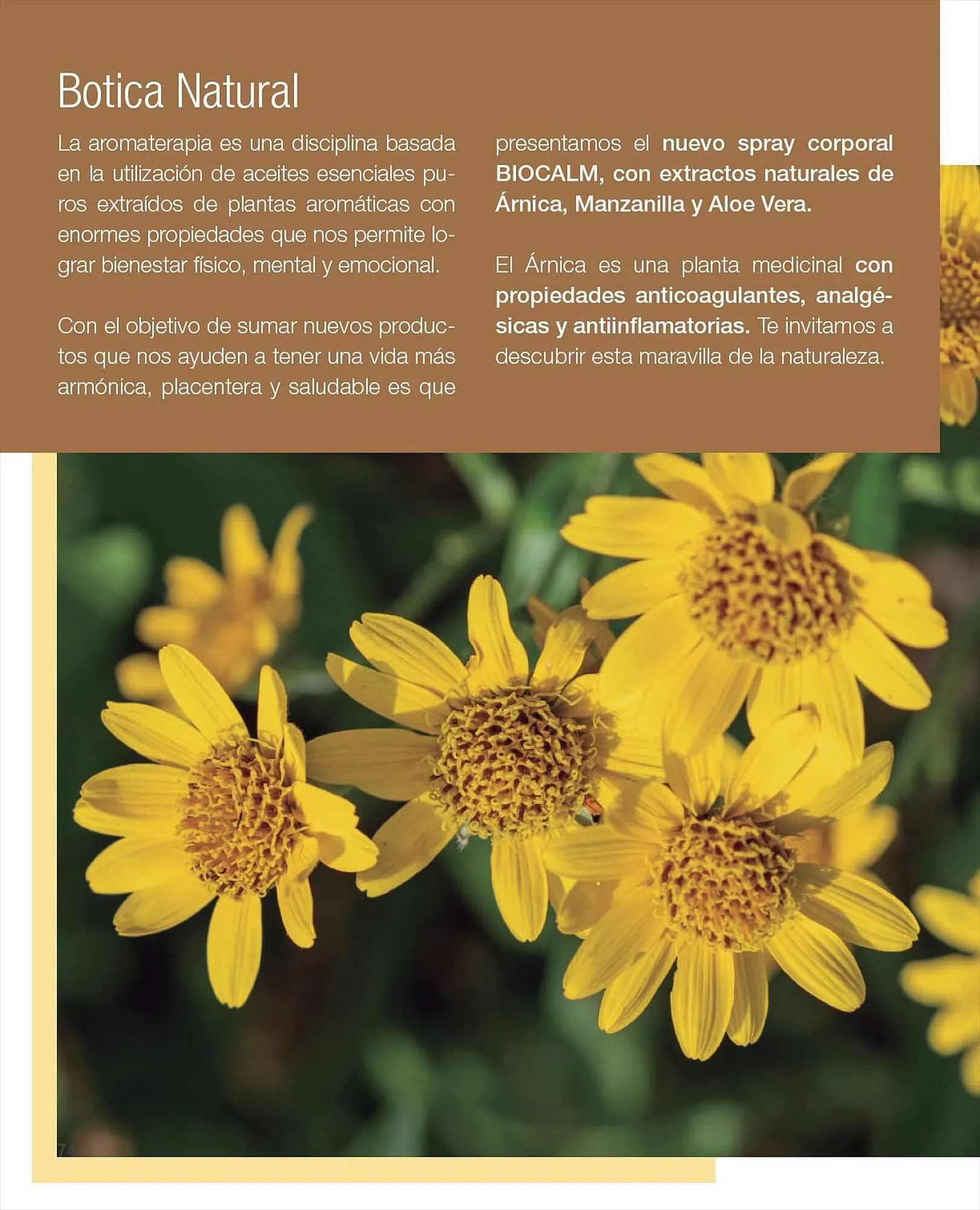 Ofertas de Catálogo Biogreen 27 de julio al 30 de julio 2023 - Página 68 del catálogo