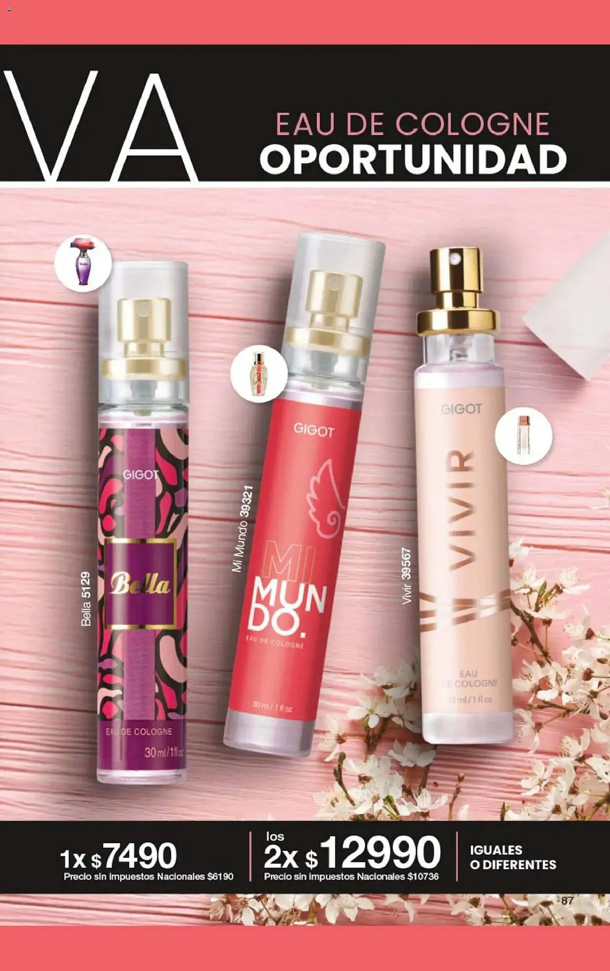 Ofertas de Folleto Gigot 15 de marzo al 31 de marzo 2026 - Página 91 del catálogo