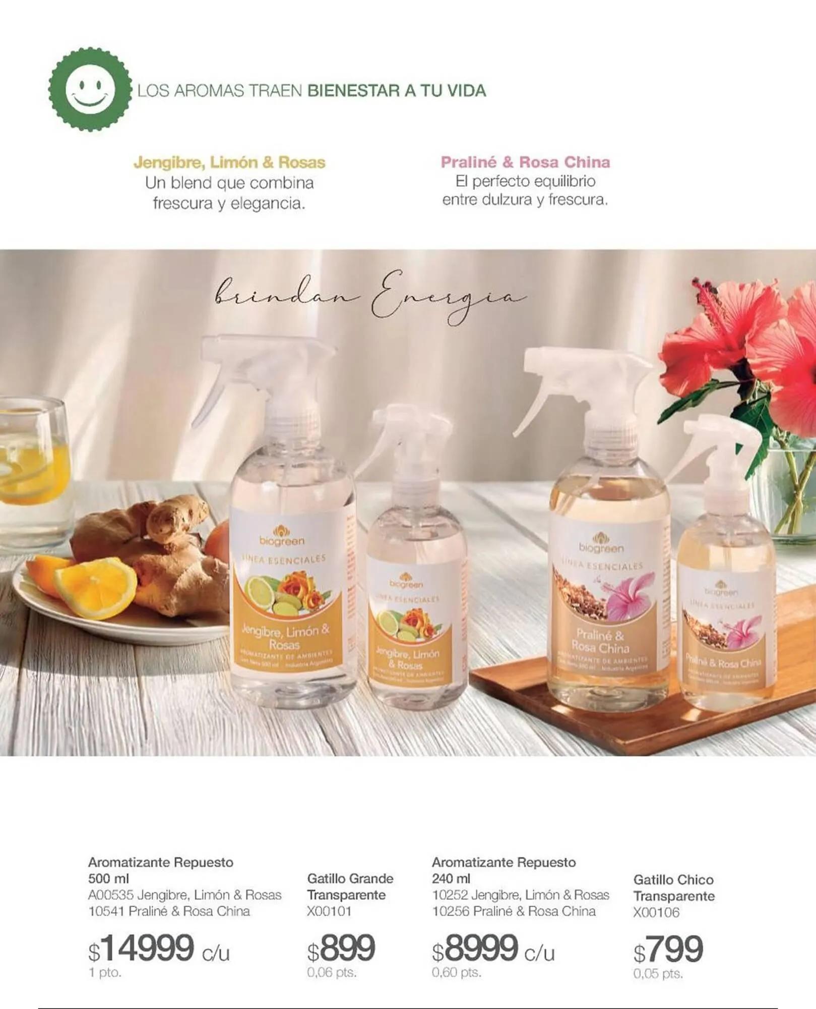 Ofertas de Catálogo Biogreen 28 de julio al 10 de agosto 2025 - Página 34 del catálogo