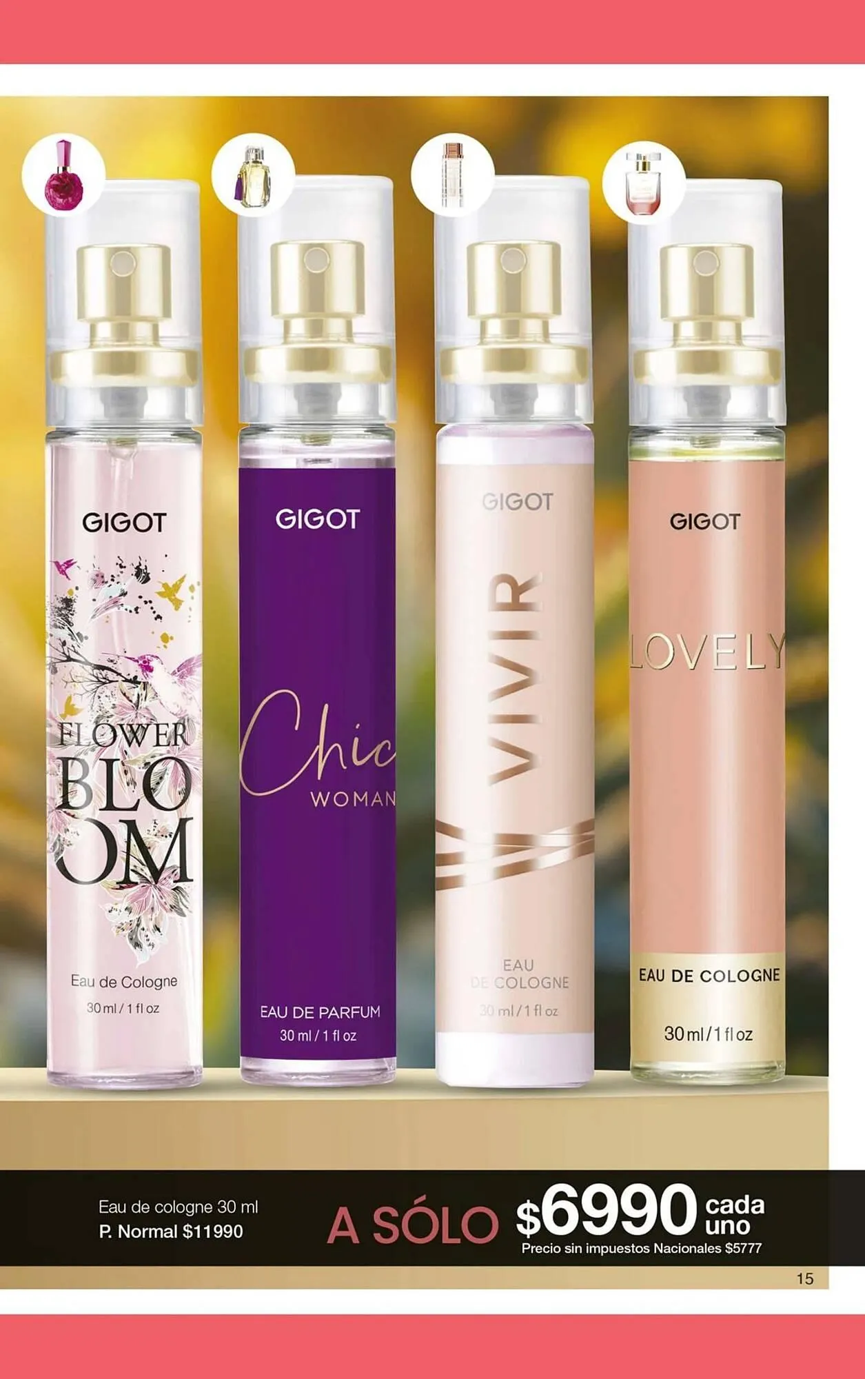 Ofertas de Folleto Gigot 1 de mayo al 31 de mayo 2026 - Página 21 del catálogo