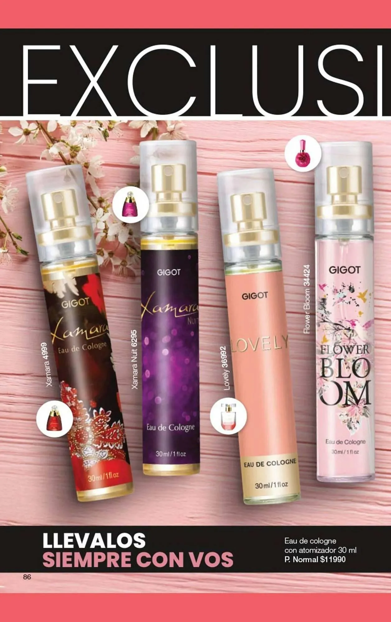 Ofertas de Folleto Gigot 1 de junio al 30 de junio 2026 - Página 89 del catálogo