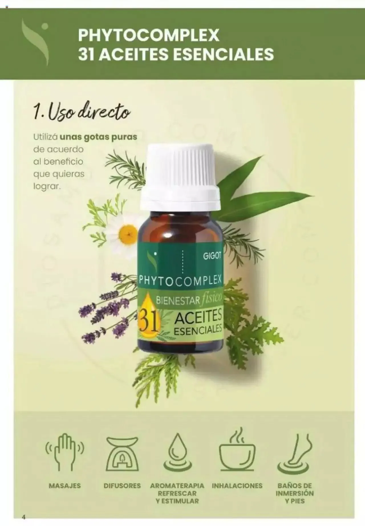 Ofertas de Gigot catálogo 2 de abril al 31 de diciembre 2024 - Página 4 del catálogo