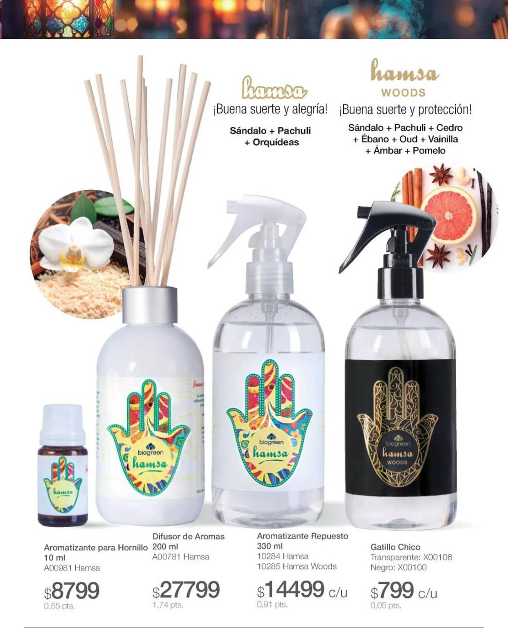 Ofertas de Catálogo Biogreen 4 de noviembre al 30 de noviembre 2025 - Página 13 del catálogo