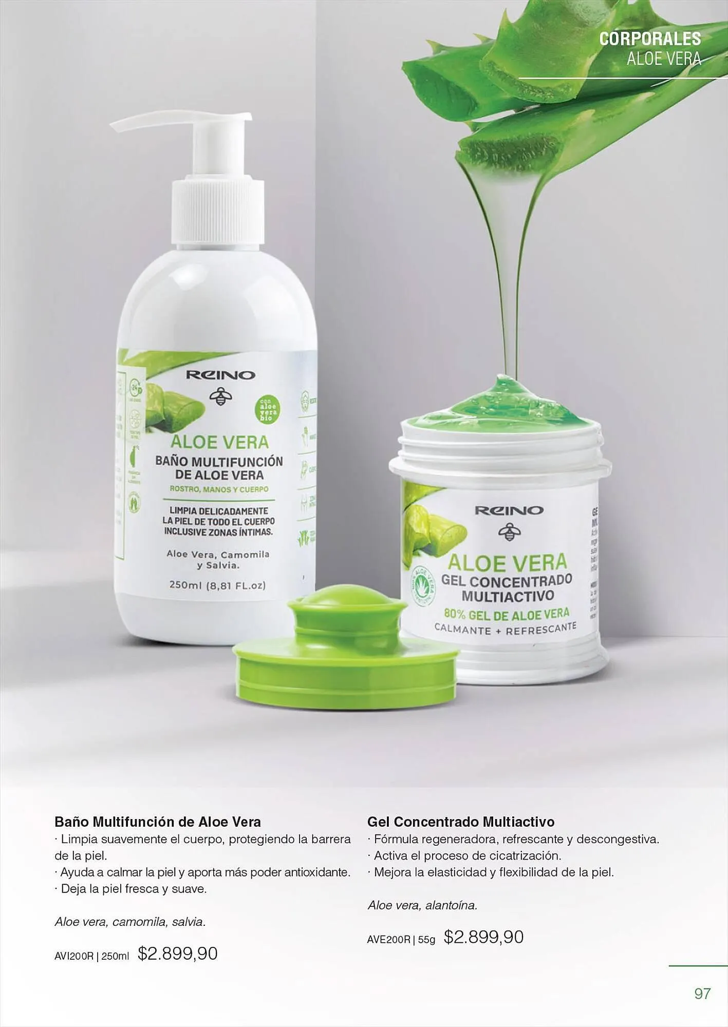 Ofertas de Catálogo Reino Cosmética 28 de julio al 31 de julio 2023 - Página 99 del catálogo