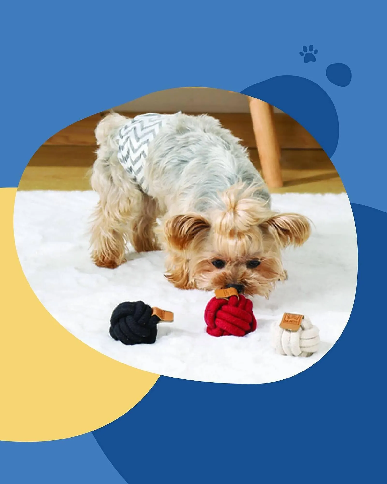Ofertas de Catálogo Puppis 1 de octubre al 15 de octubre 2025 - Página 5 del catálogo