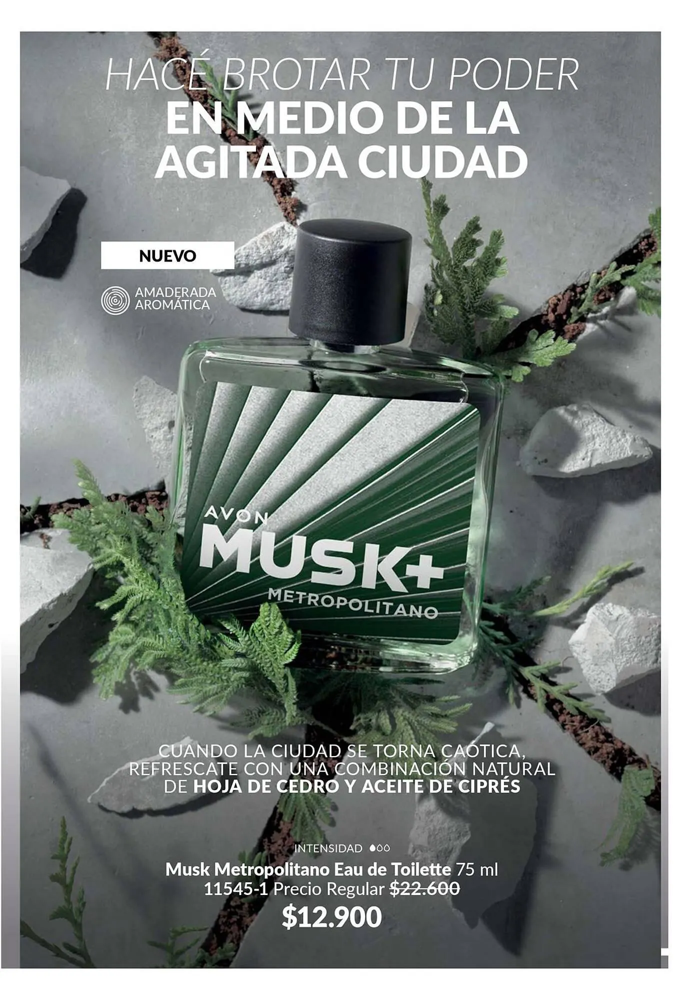 Ofertas de Catálogo Avon 1 de julio al 31 de julio 2025 - Página 99 del catálogo