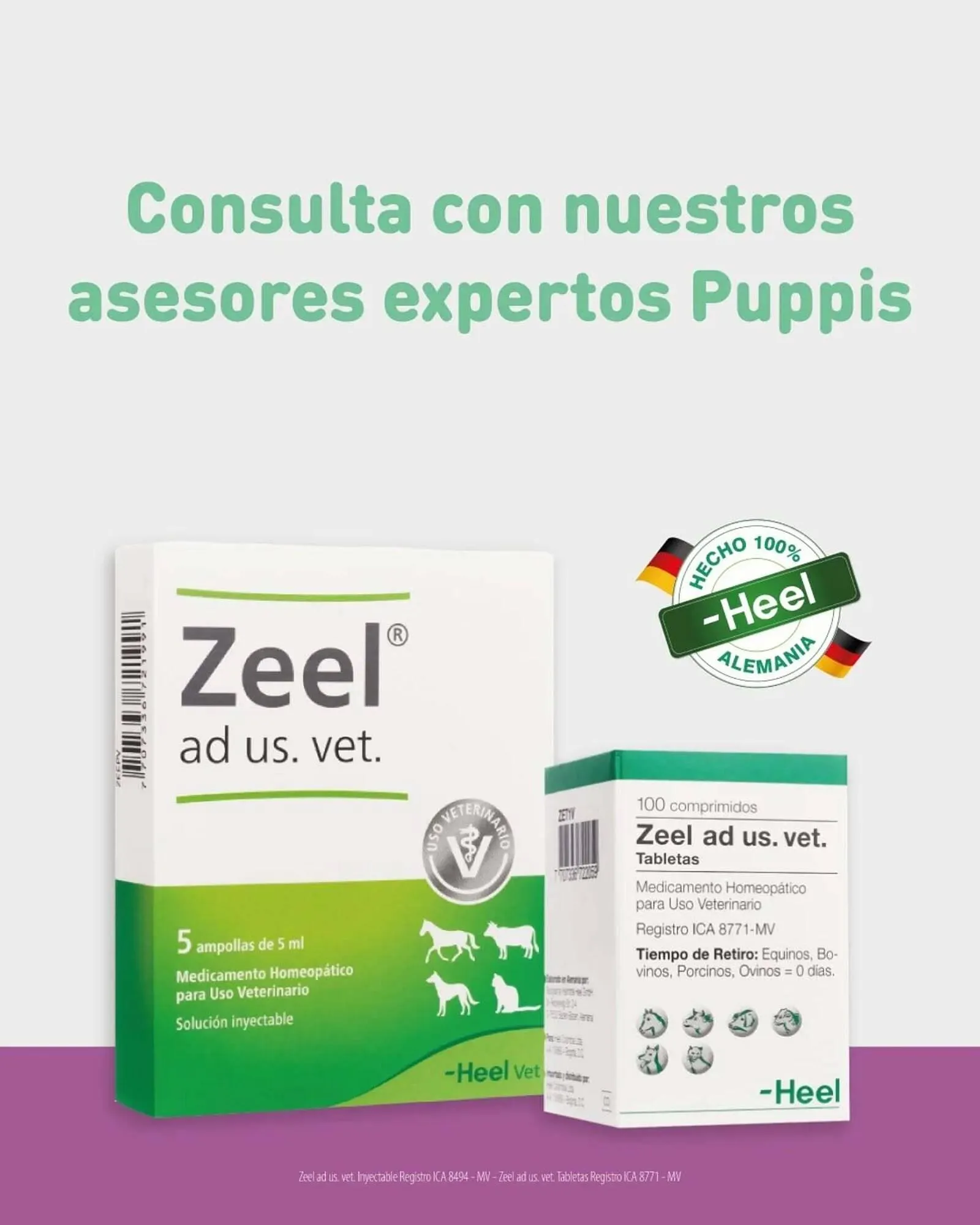 Ofertas de Catálogo Puppis 6 de mayo al 8 de mayo 2025 - Página 4 del catálogo