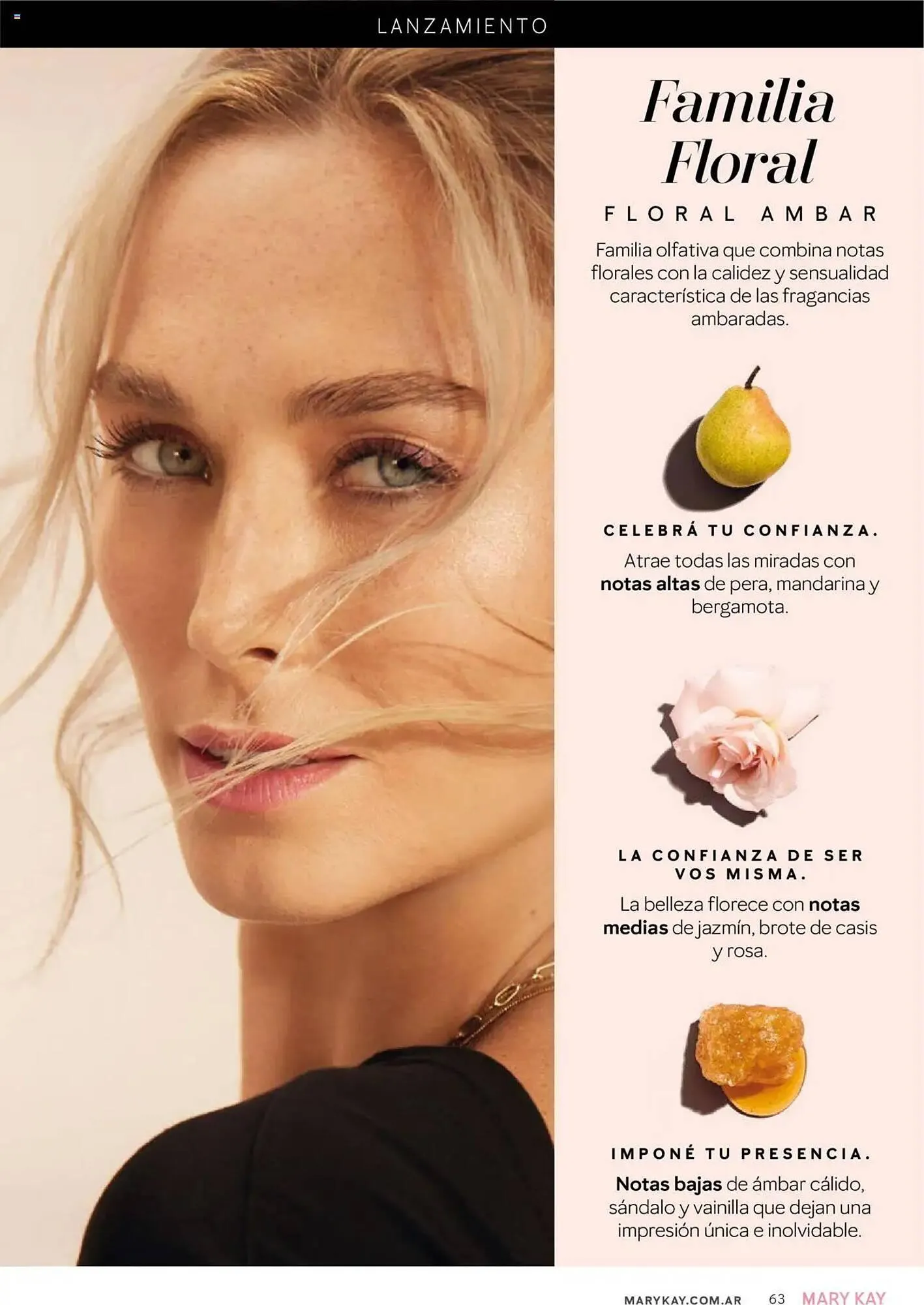 Ofertas de Catálogo Mary Kay 1 de octubre al 31 de octubre 2025 - Página 63 del catálogo