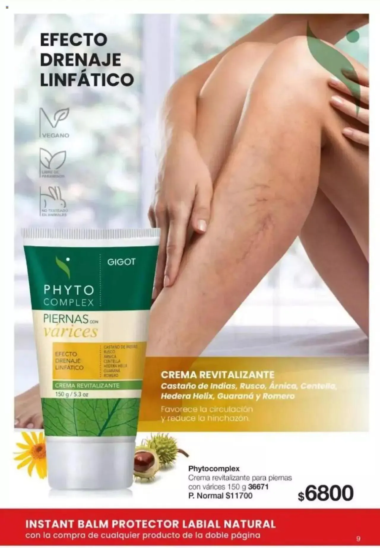 Ofertas de Gigot catálogo 2 de abril al 31 de diciembre 2024 - Página 9 del catálogo