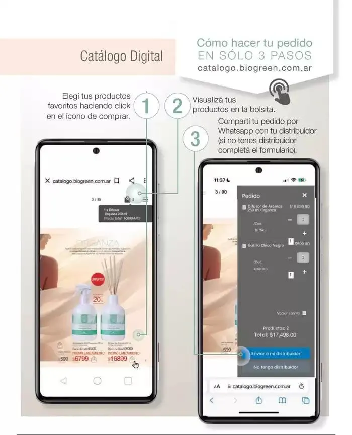 Ofertas de Catálogo de Biogreen 2 de octubre al 31 de octubre 2024 - Página 3 del catálogo