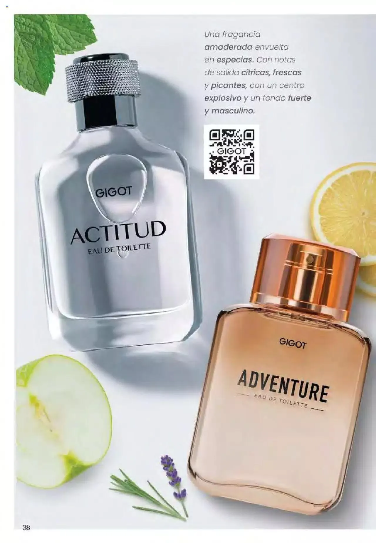 Ofertas de Gigot folleto 6 12 de marzo al 31 de diciembre 2024 - Página 38 del catálogo