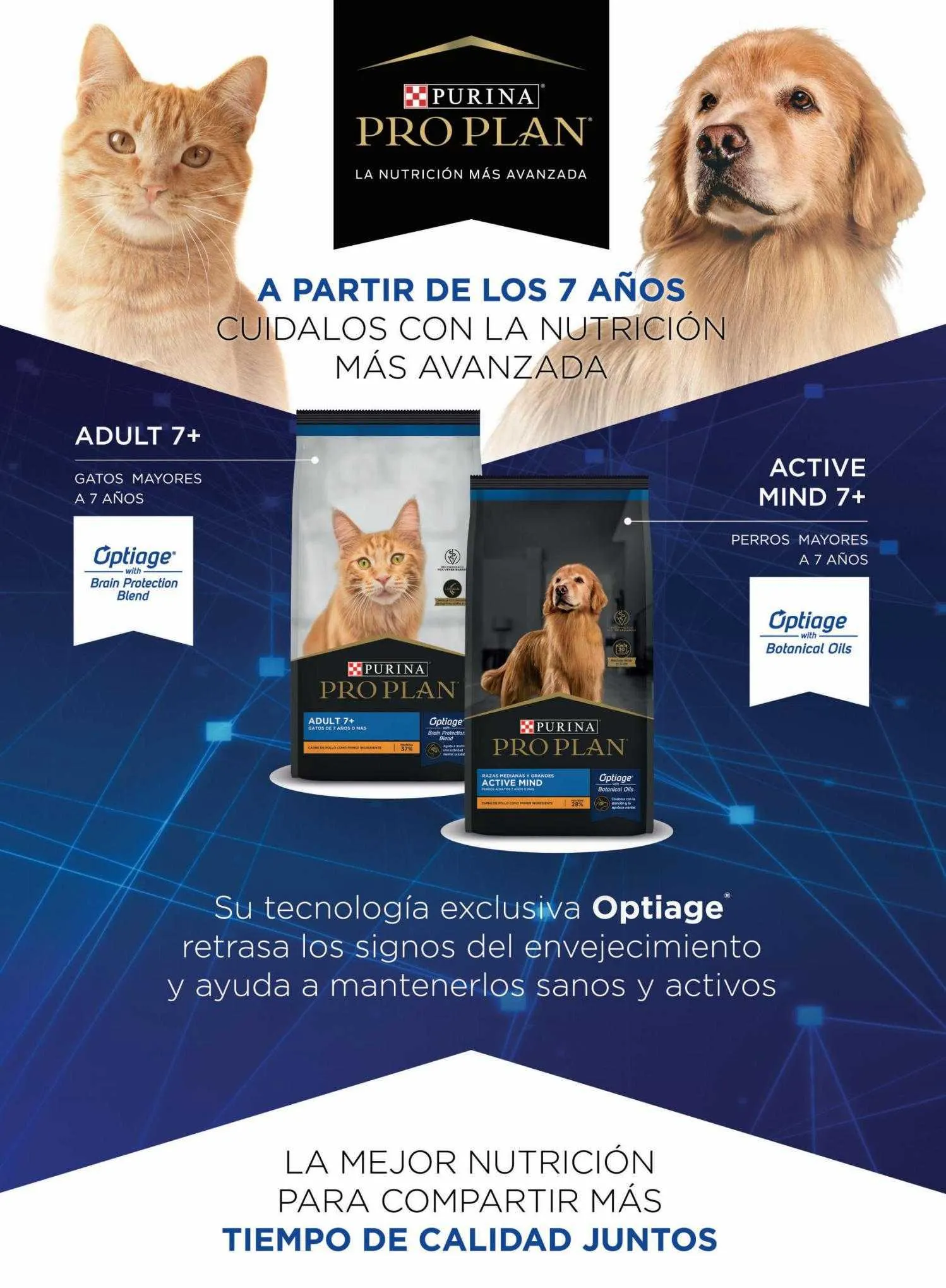 Ofertas de Catálogo Puppis 8 de agosto al 31 de agosto 2023 - Página 16 del catálogo