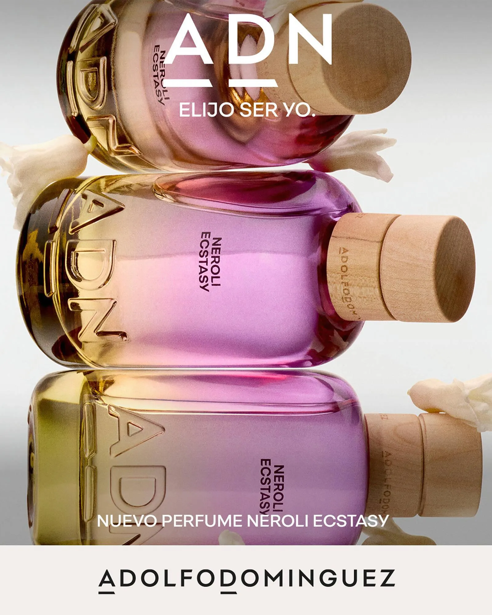 Ofertas de Catálogo Pigmento 20 de enero al 31 de enero 2026 - Página 3 del catálogo