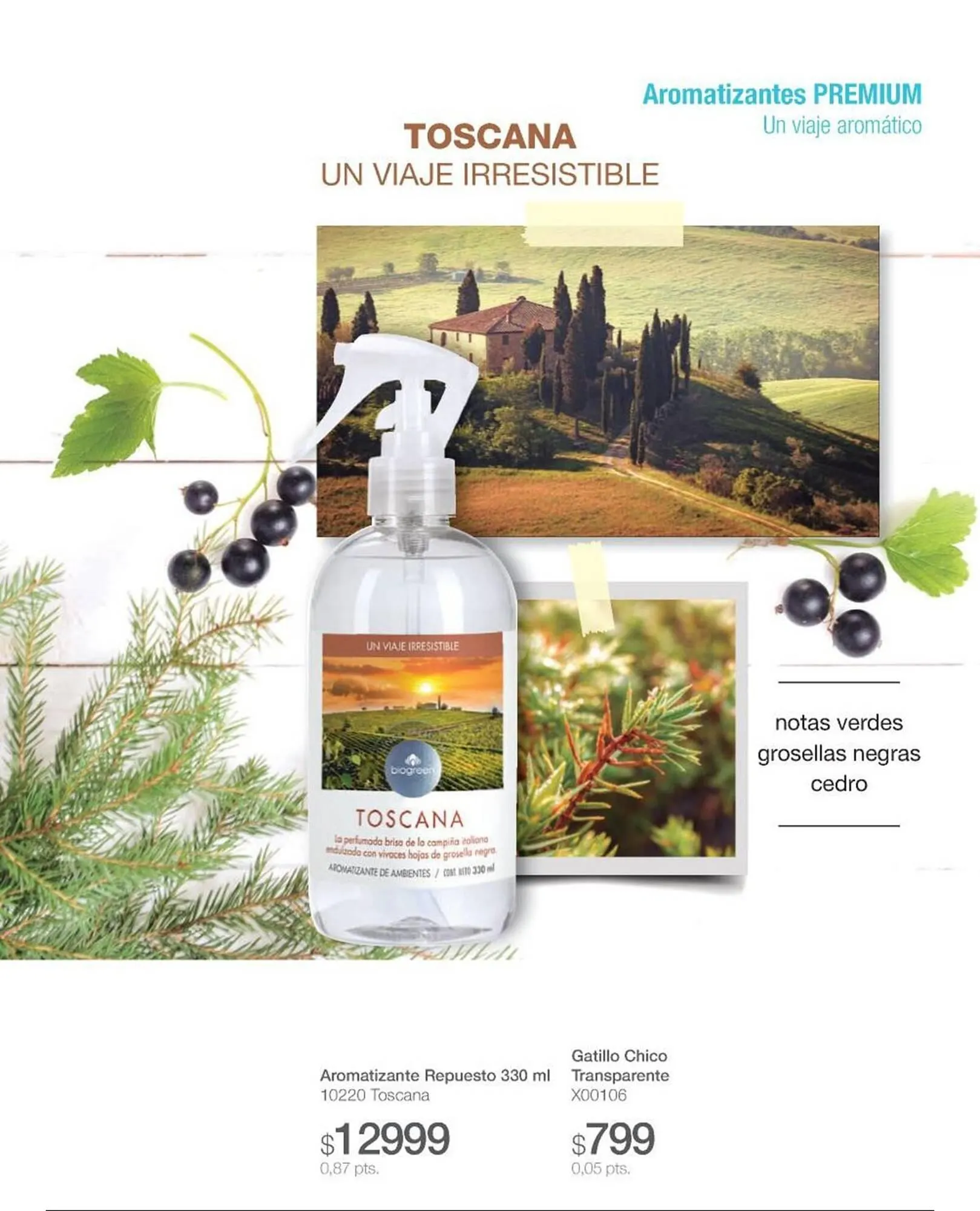 Ofertas de Catálogo Biogreen 28 de julio al 10 de agosto 2025 - Página 23 del catálogo