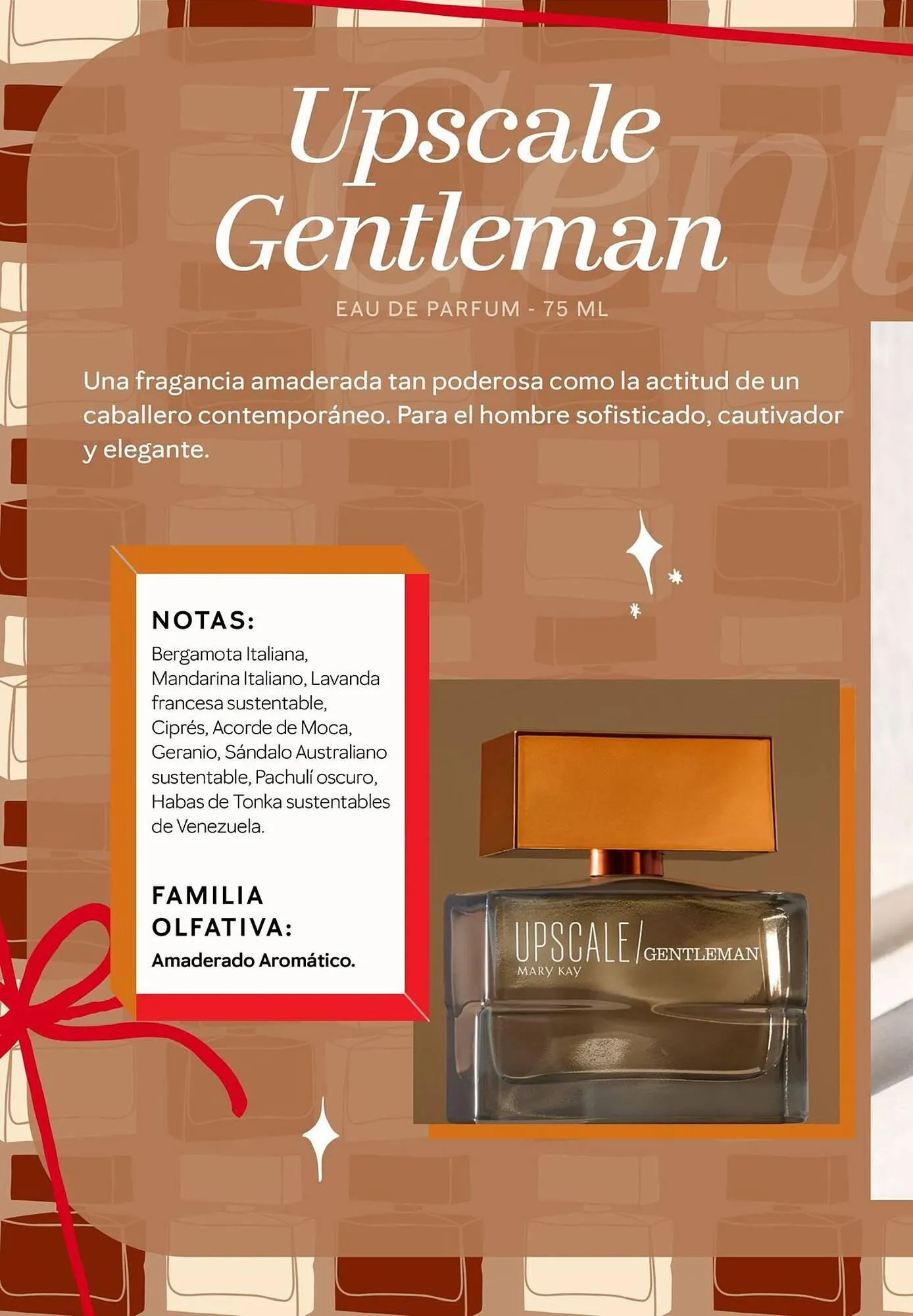 Ofertas de Catálogo Mary Kay 14 de mayo al 30 de junio 2025 - Página 14 del catálogo