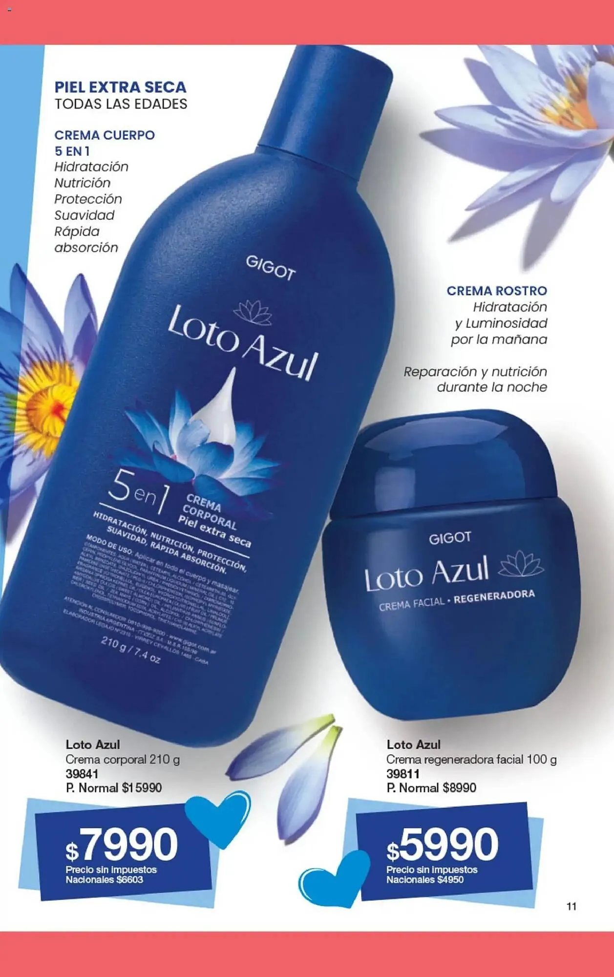 Ofertas de Folleto Gigot 1 de febrero al 1 de marzo 2026 - Página 17 del catálogo