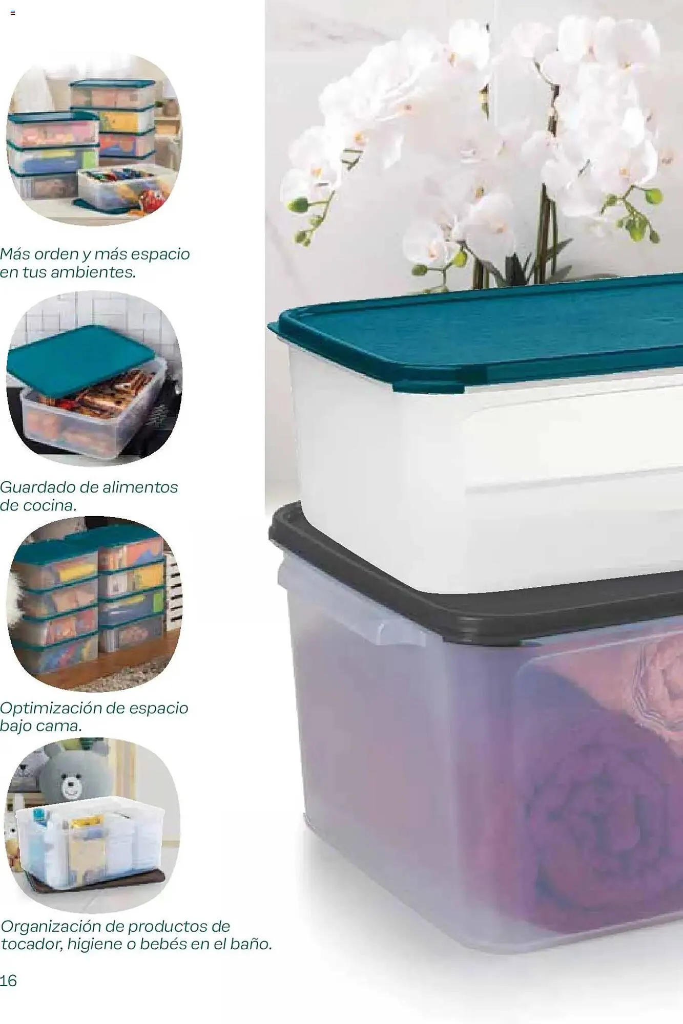Ofertas de Catálogo Tupperware 29 de noviembre al 2 de diciembre 2024 - Página 16 del catálogo
