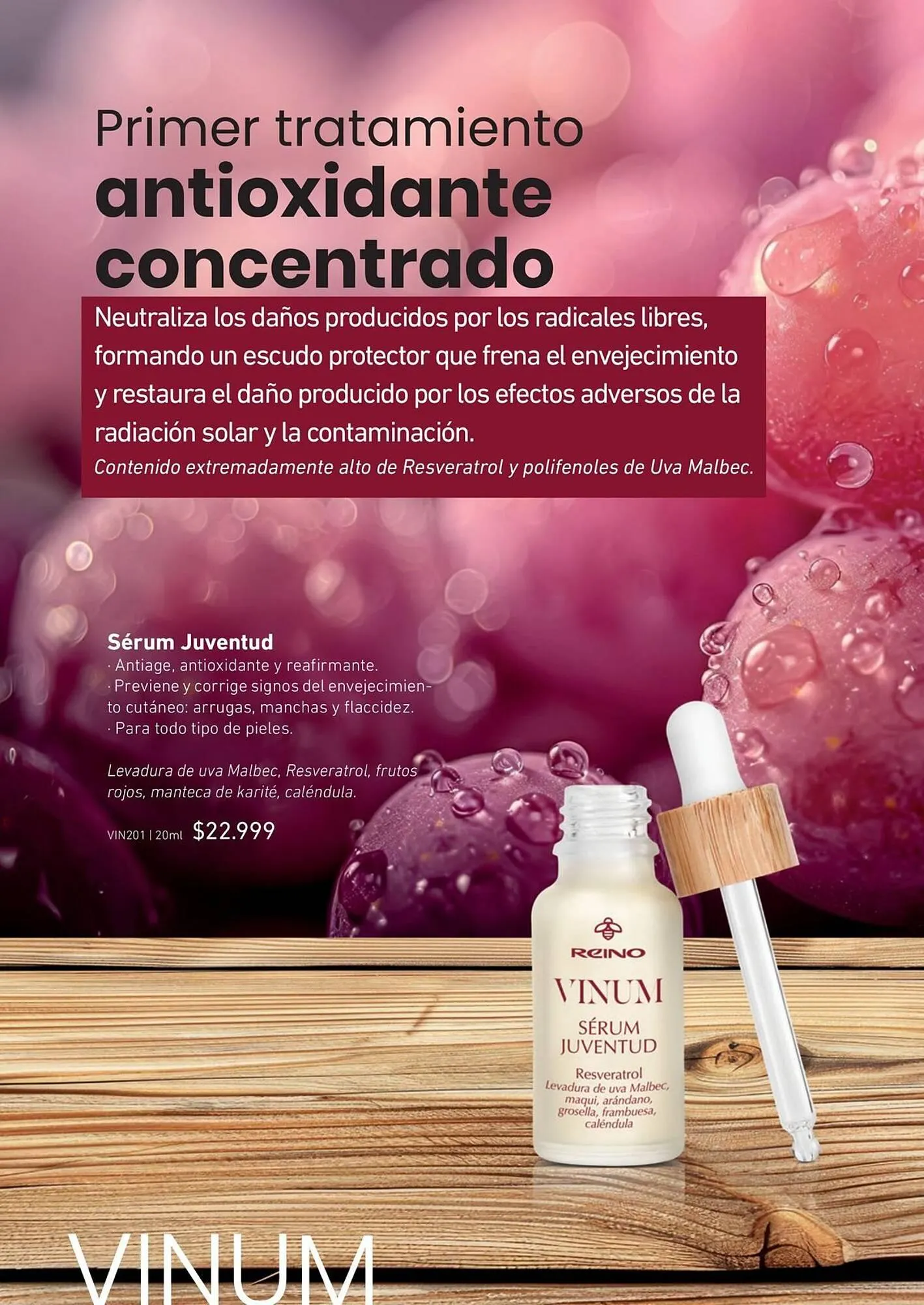 Ofertas de Catálogo Reino Cosmética 25 de marzo al 31 de marzo 2025 - Página 32 del catálogo