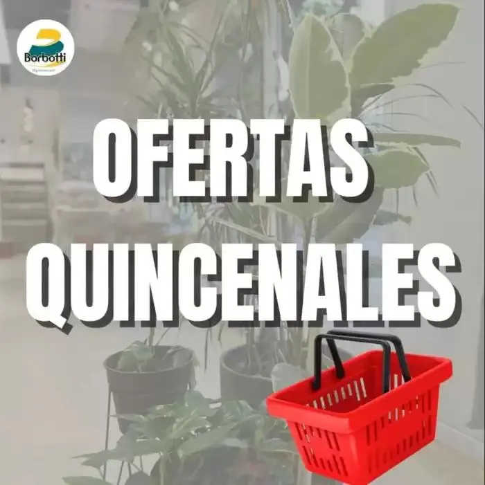 Catálogo Hipermercado Borbotti - 1