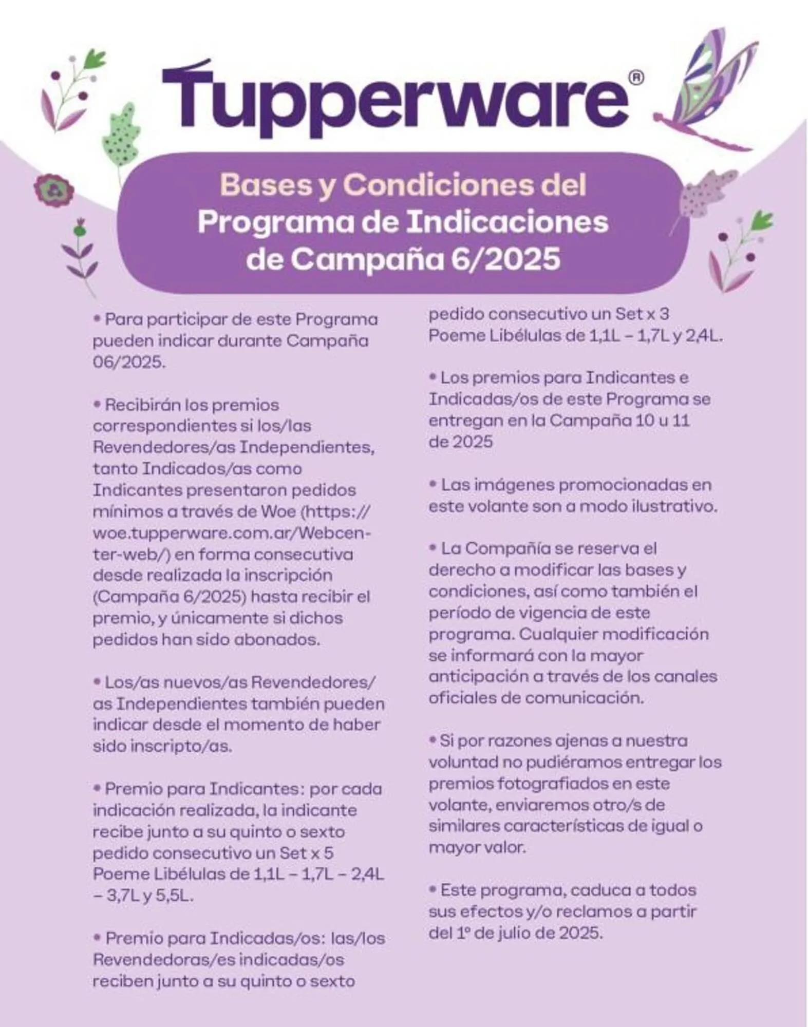 Ofertas de Catálogo Tupperware 1 de junio al 30 de junio 2025 - Página 4 del catálogo