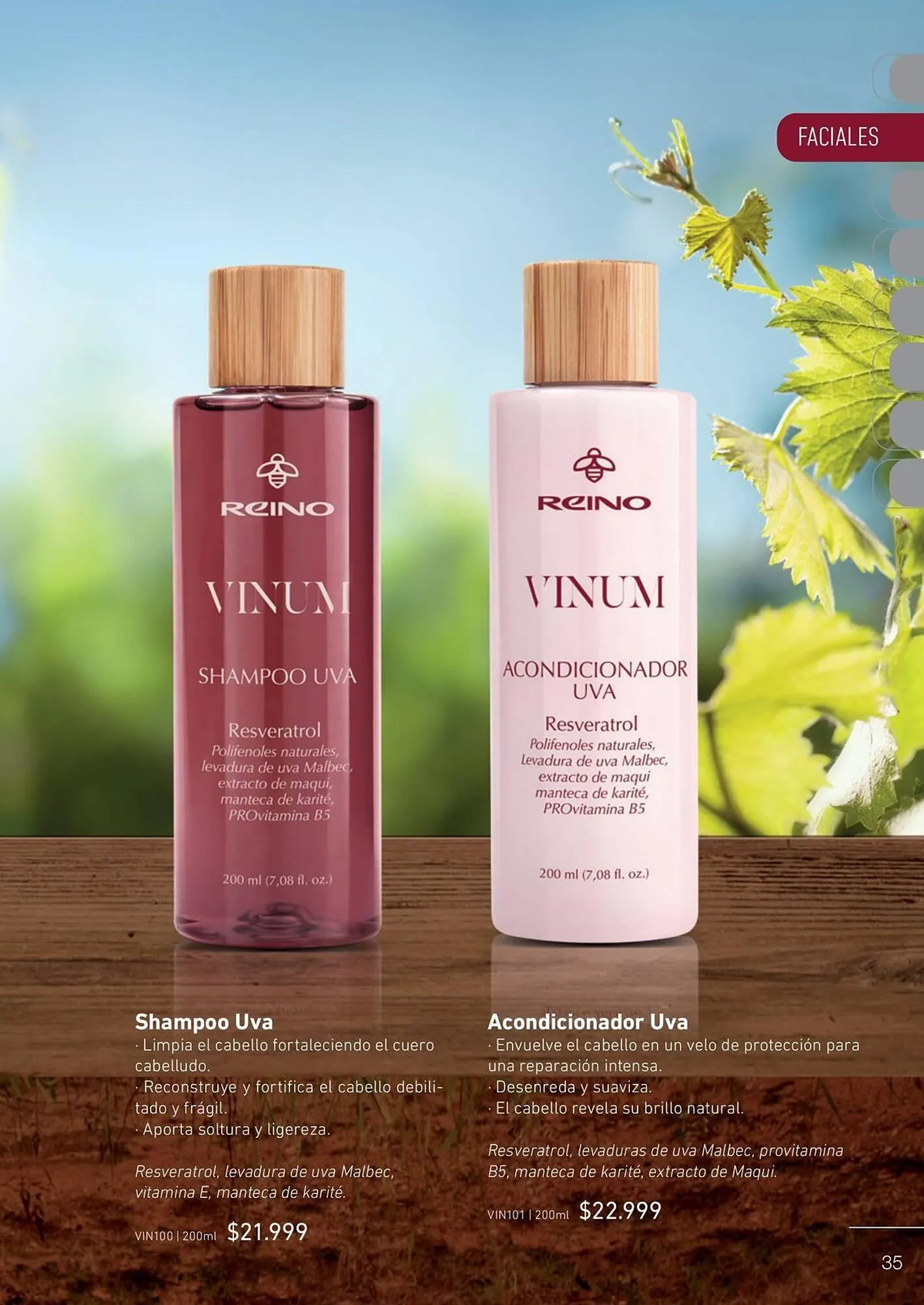 Ofertas de Catálogo Reino Cosmética 9 de abril al 22 de abril 2025 - Página 37 del catálogo