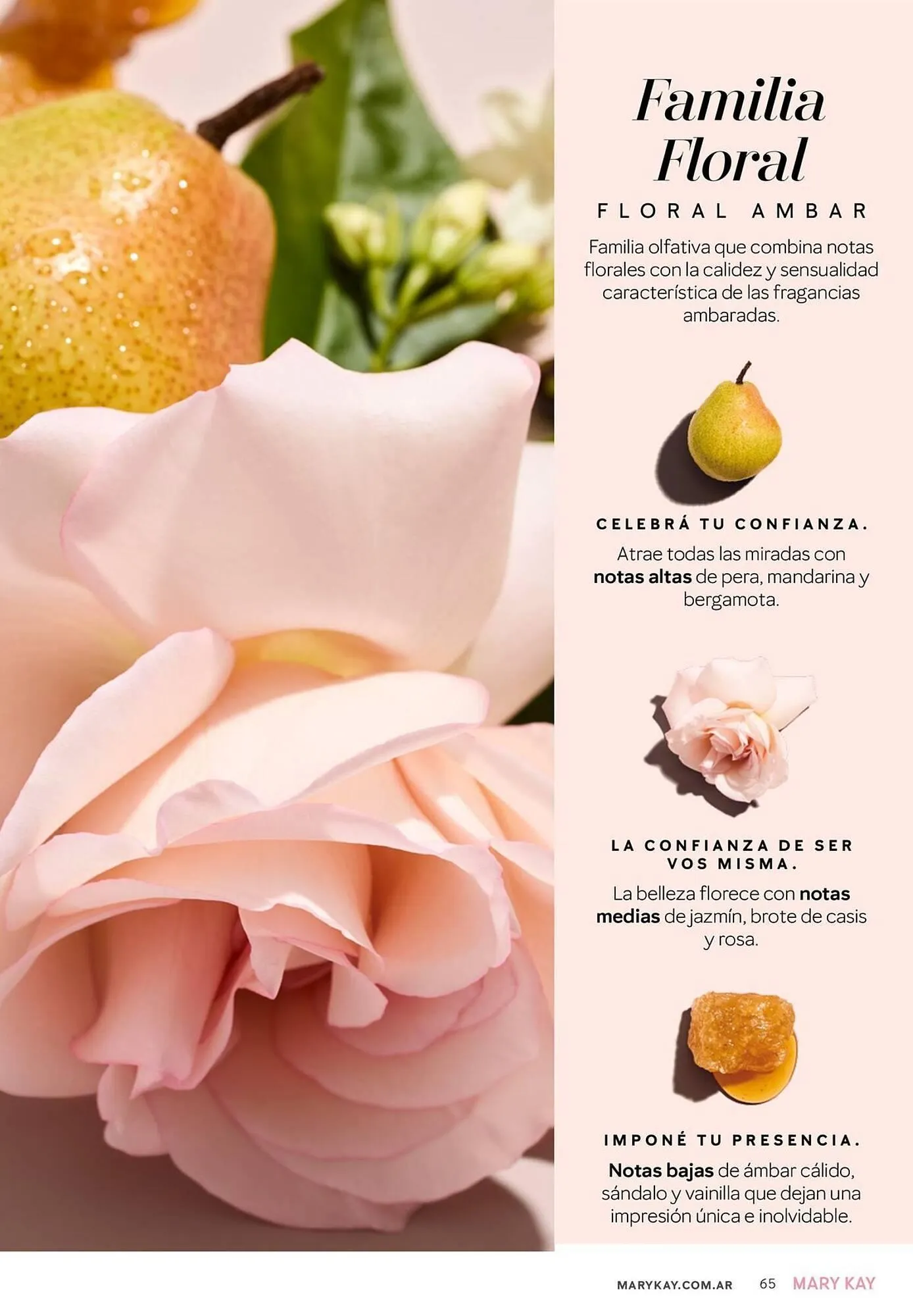 Ofertas de Catálogo Mary Kay 1 de abril al 1 de mayo 2026 - Página 65 del catálogo