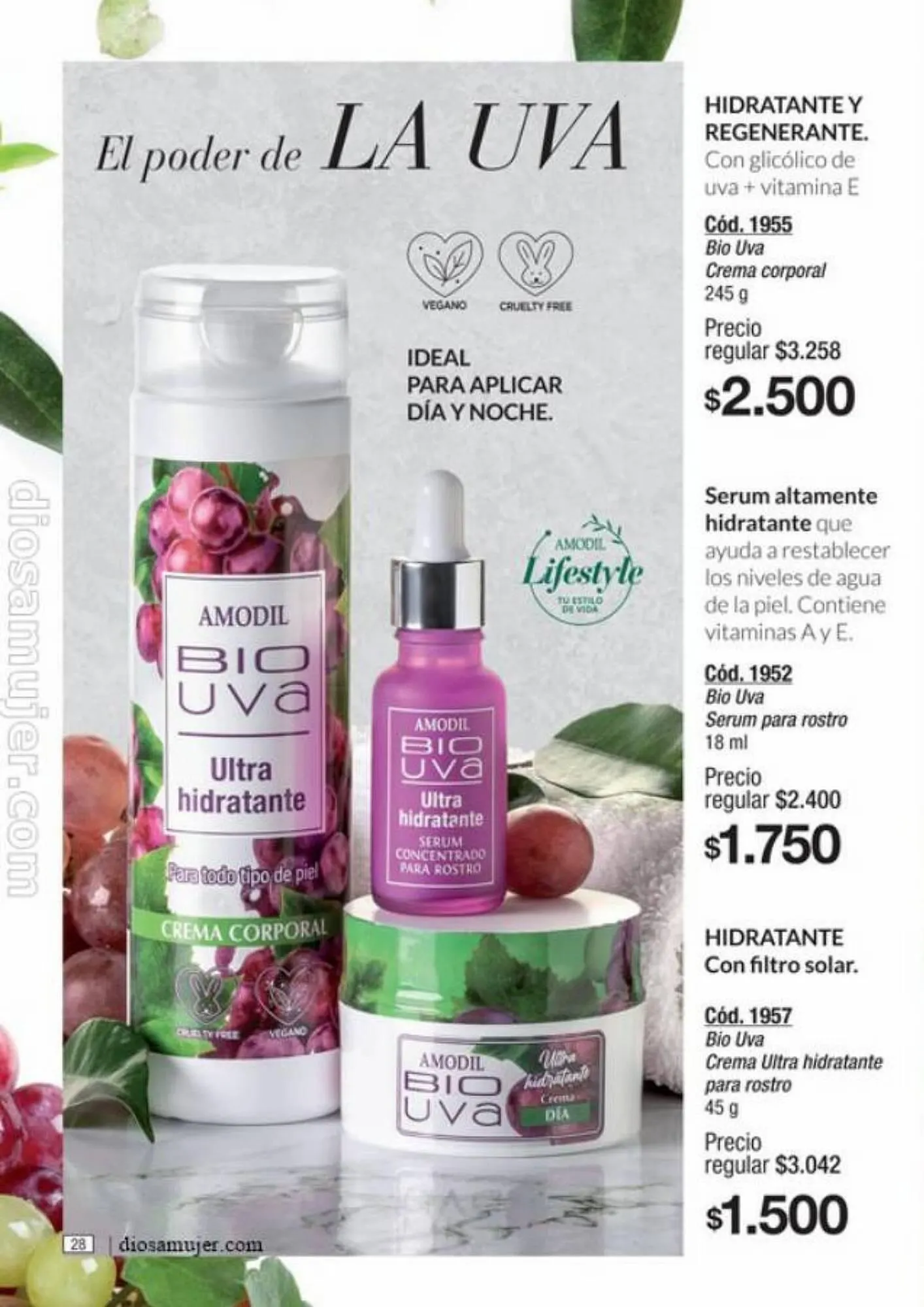 Ofertas de Catálogo Amodil 6 de septiembre al 10 de octubre 2023 - Página 28 del catálogo