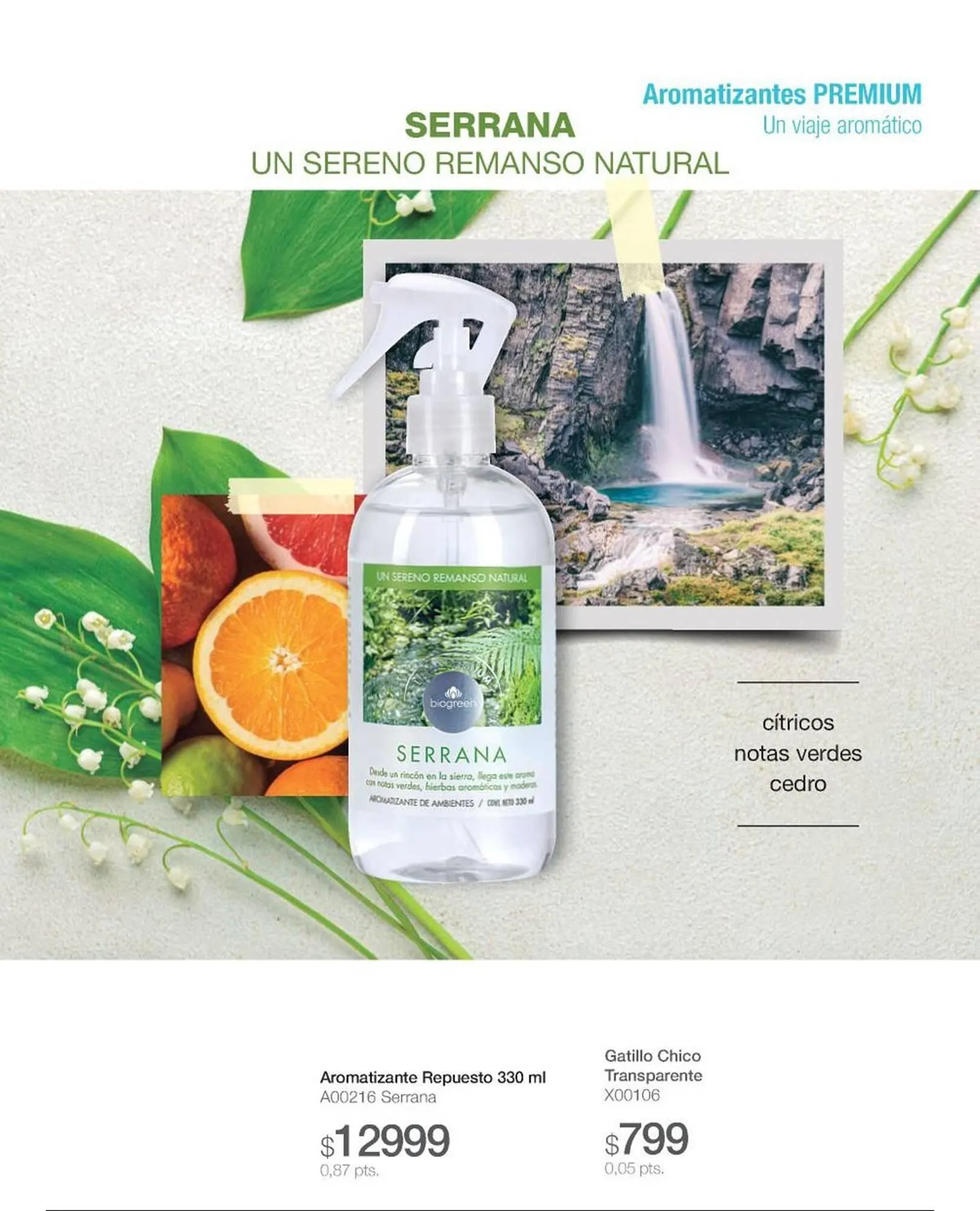 Ofertas de Catálogo Biogreen 28 de julio al 10 de agosto 2025 - Página 27 del catálogo