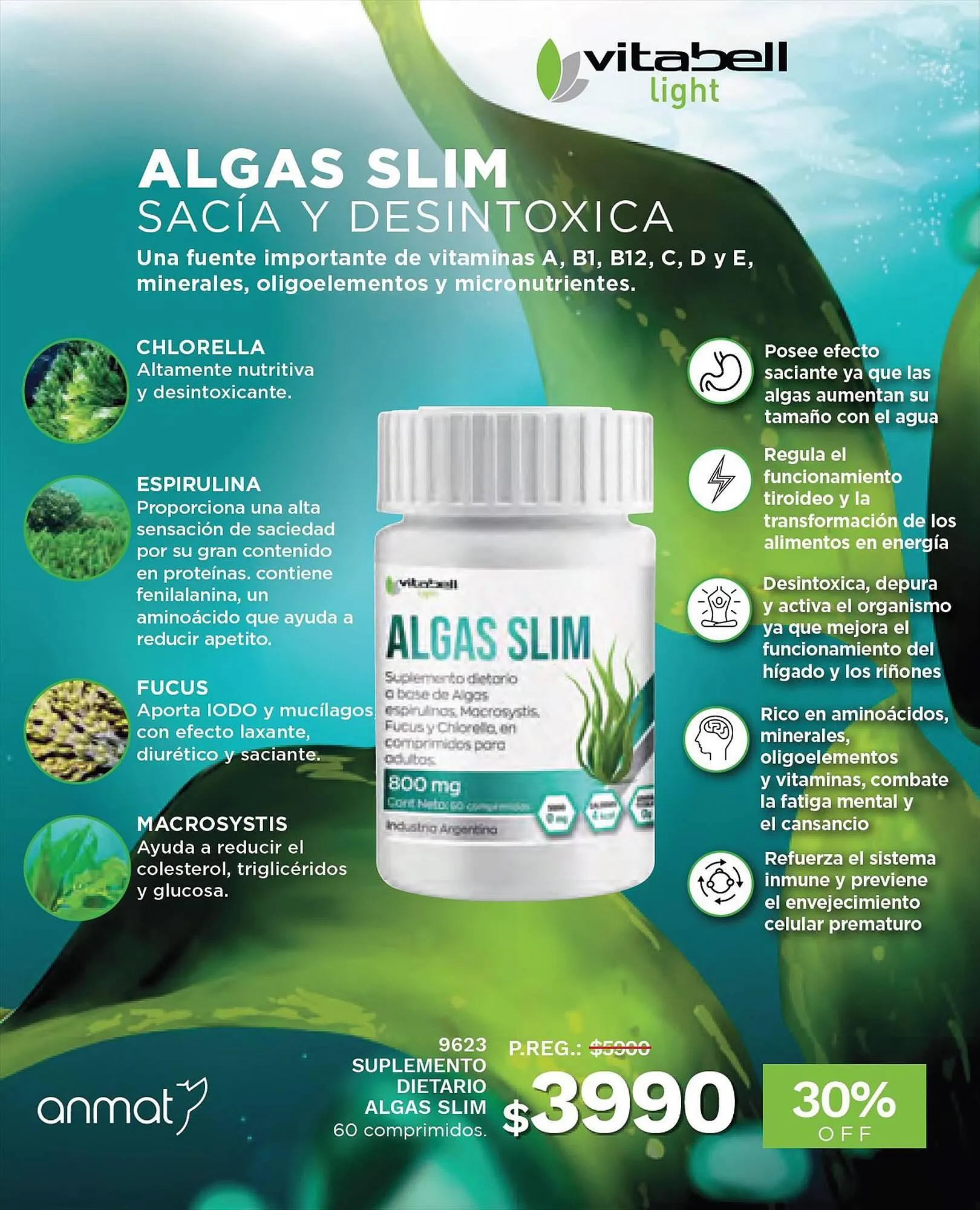 Ofertas de Catálogo Arbell 8 de septiembre al 9 de noviembre 2023 - Página 93 del catálogo