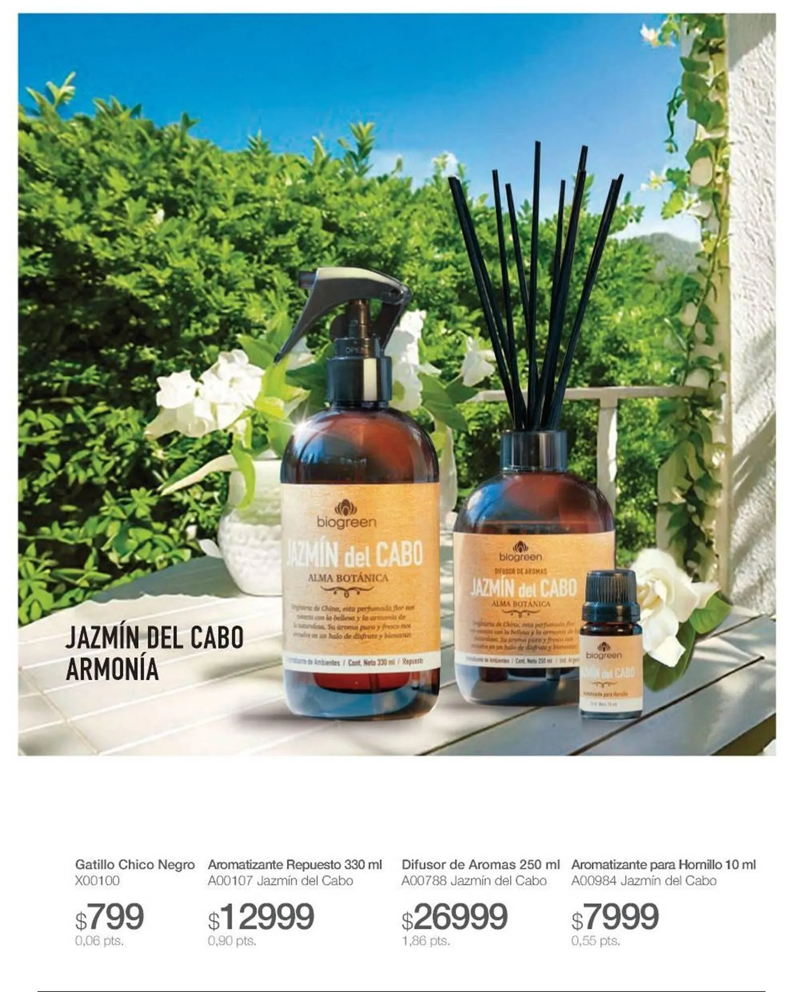 Ofertas de Catálogo Biogreen 15 de mayo al 31 de mayo 2025 - Página 10 del catálogo