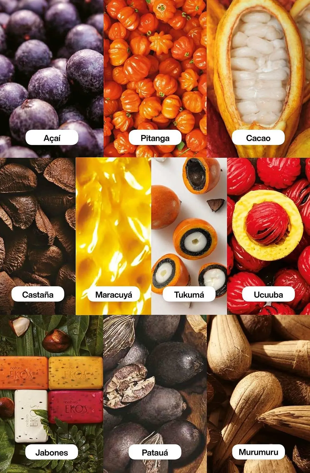 Ofertas de Catálogo Natura 29 de mayo al 30 de junio 2025 - Página 172 del catálogo