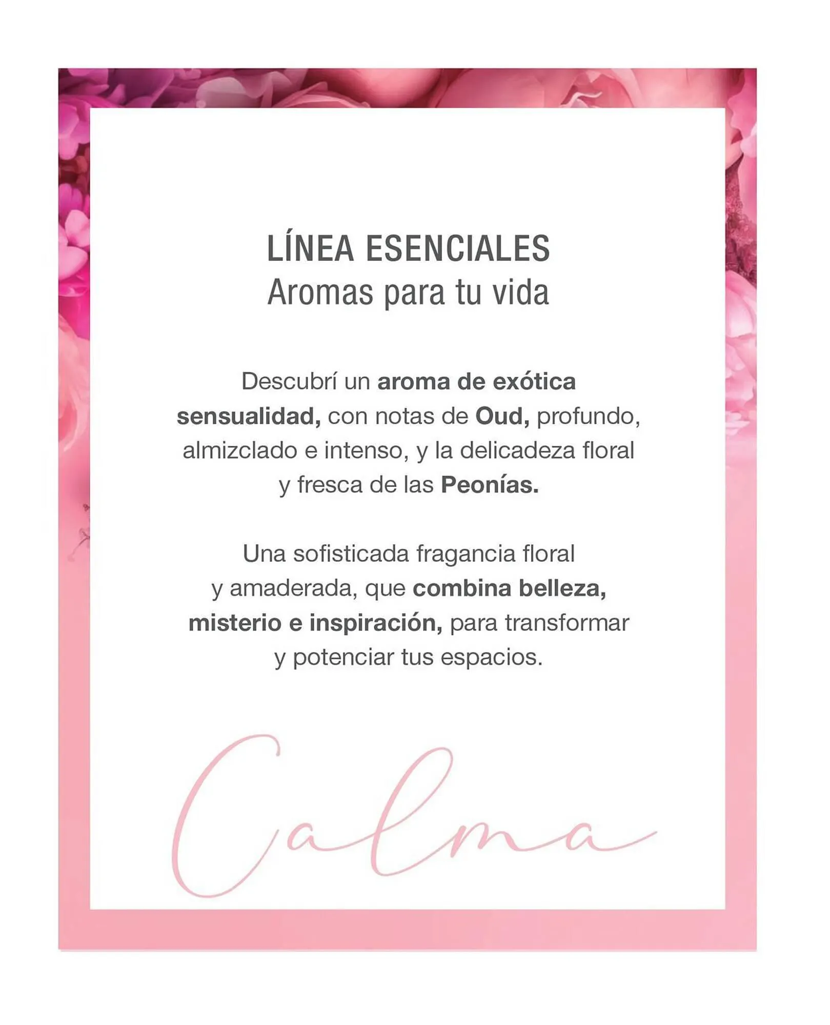 Ofertas de Catálogo Biogreen 20 de octubre al 30 de noviembre 2023 - Página 4 del catálogo