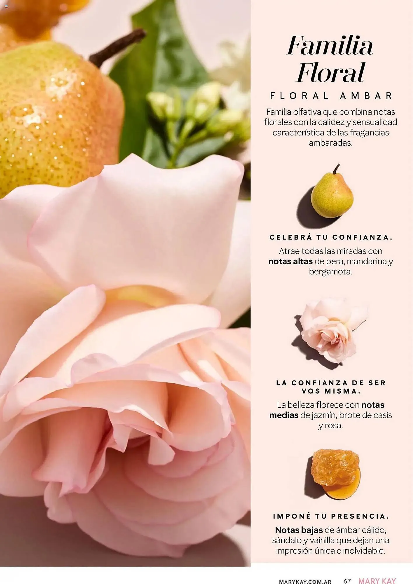 Ofertas de Catálogo Mary Kay 1 de mayo al 2 de junio 2026 - Página 67 del catálogo