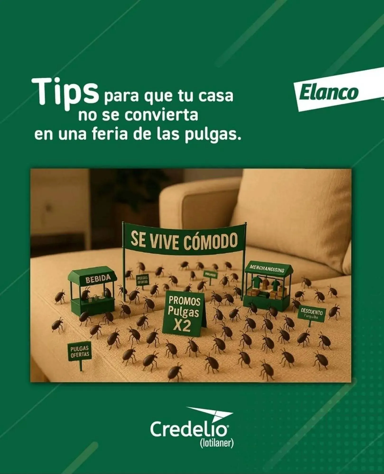 Catálogo Puppis - 1