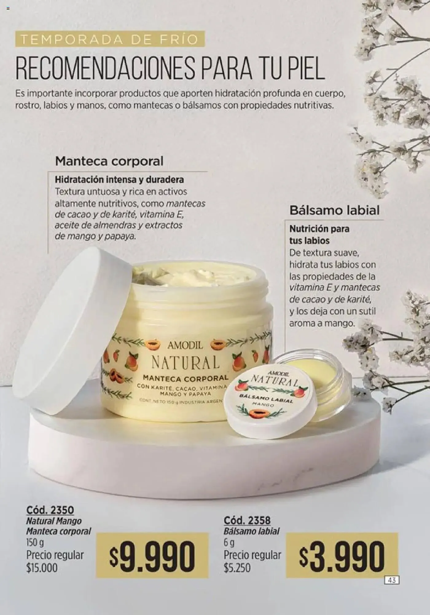 Ofertas de Catálogo Amodil 24 de marzo al 6 de abril 2025 - Página 43 del catálogo
