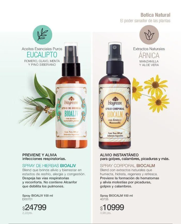 Ofertas de Catálogo de productos Biogreen! 27 de agosto al 11 de septiembre 2024 - Página 51 del catálogo
