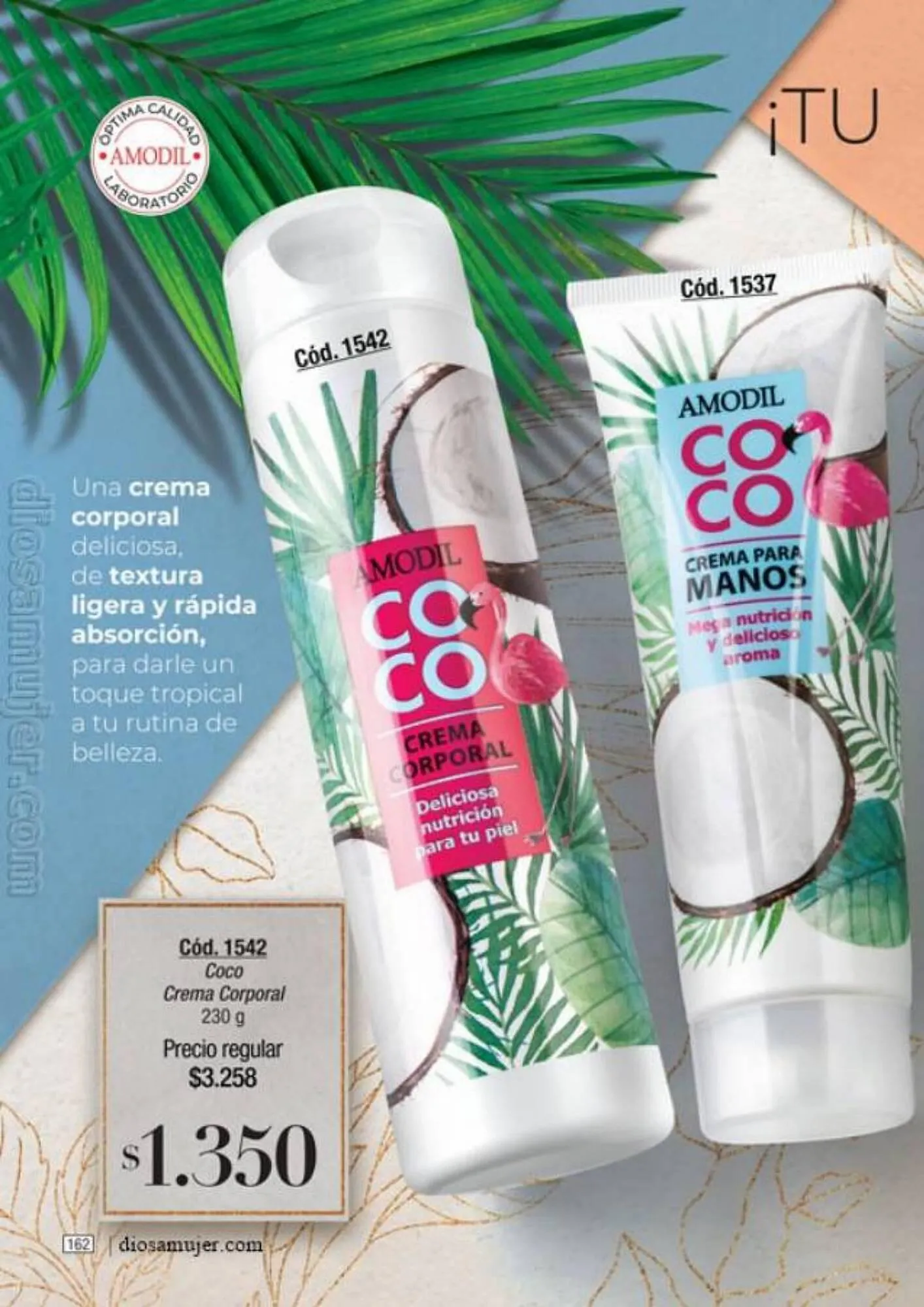 Ofertas de Catálogo Amodil 6 de septiembre al 10 de octubre 2023 - Página 162 del catálogo