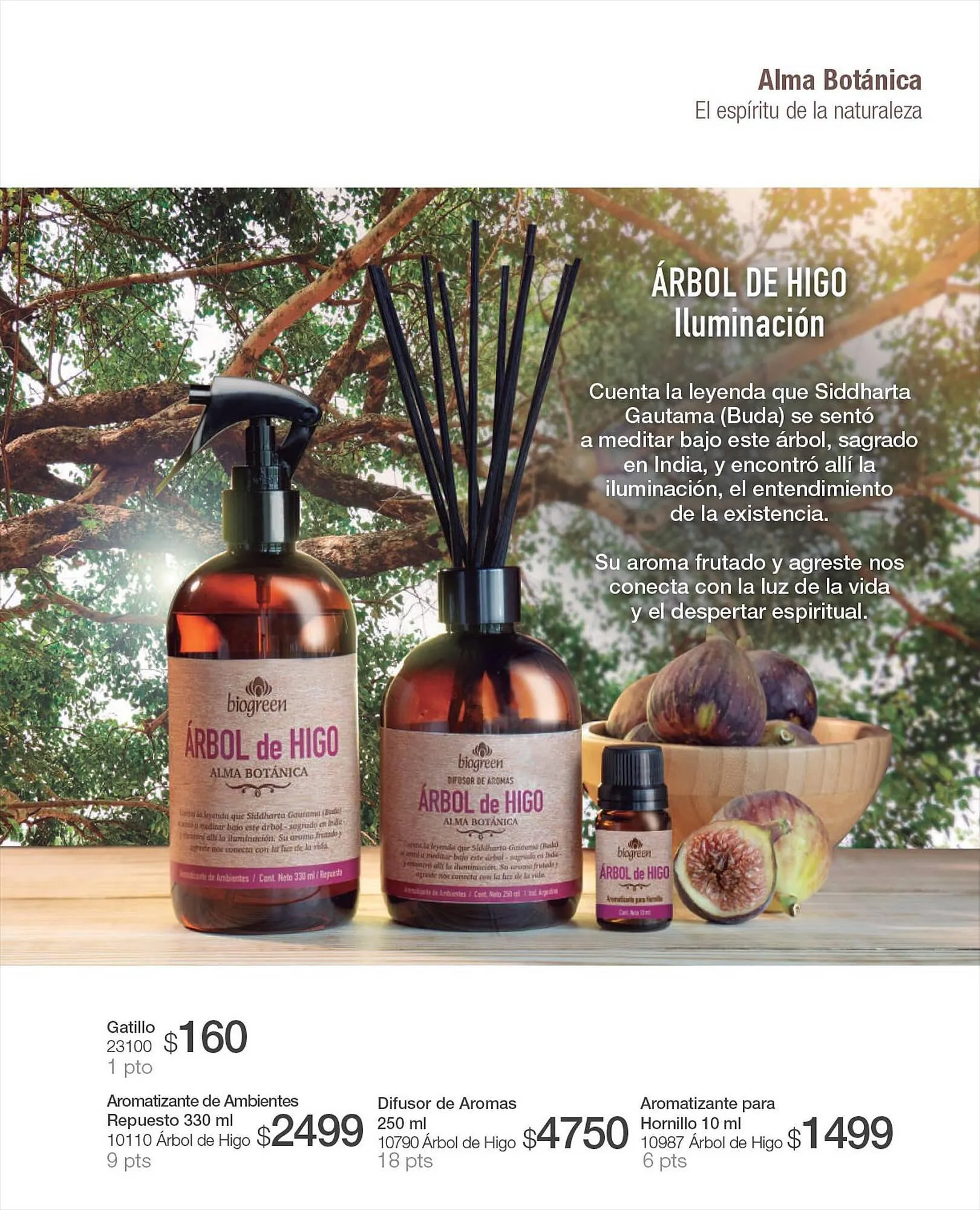 Ofertas de Catálogo Biogreen 27 de julio al 30 de julio 2023 - Página 35 del catálogo