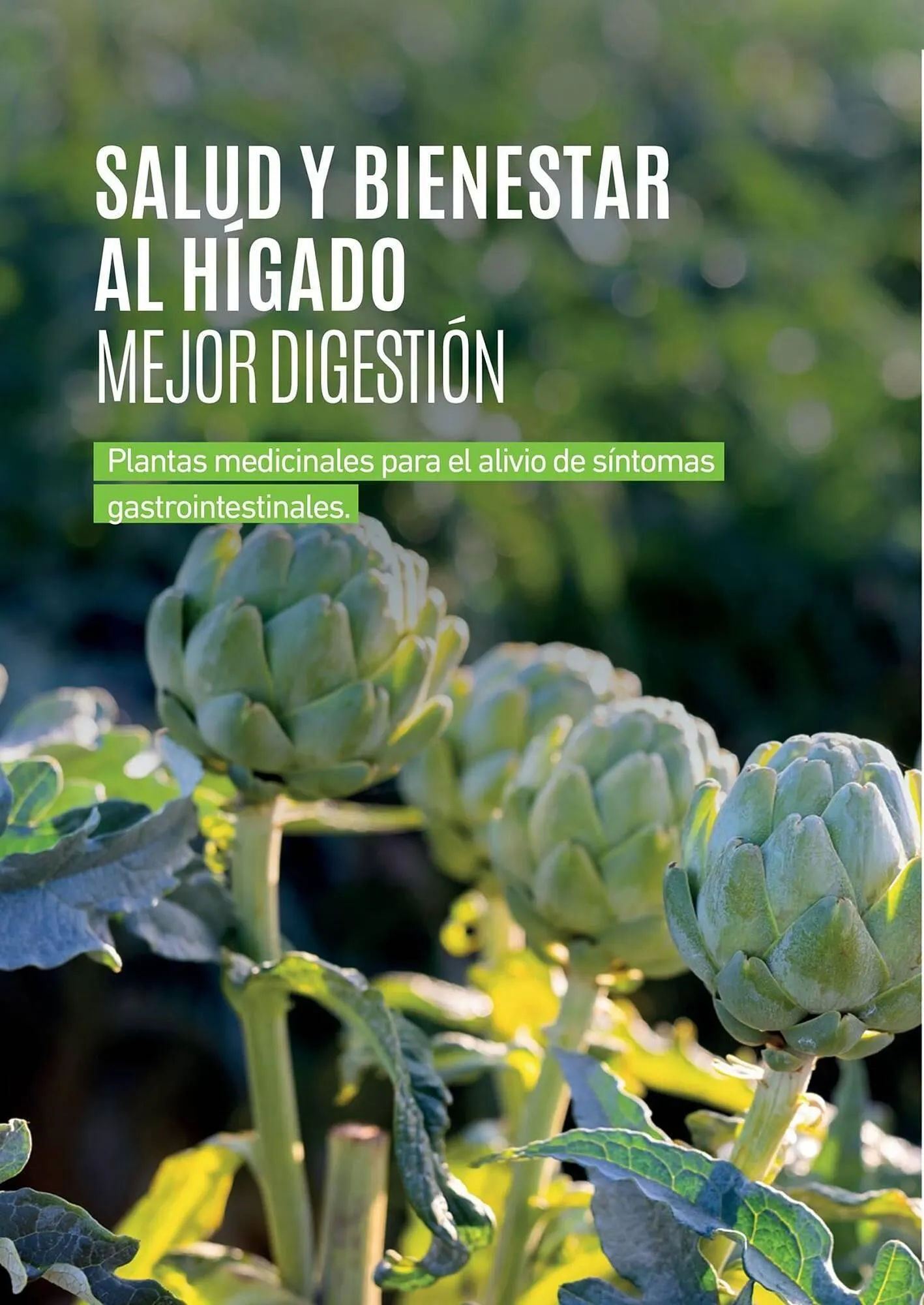 Ofertas de Catálogo Reino Cosmética 8 de mayo al 31 de mayo 2025 - Página 240 del catálogo